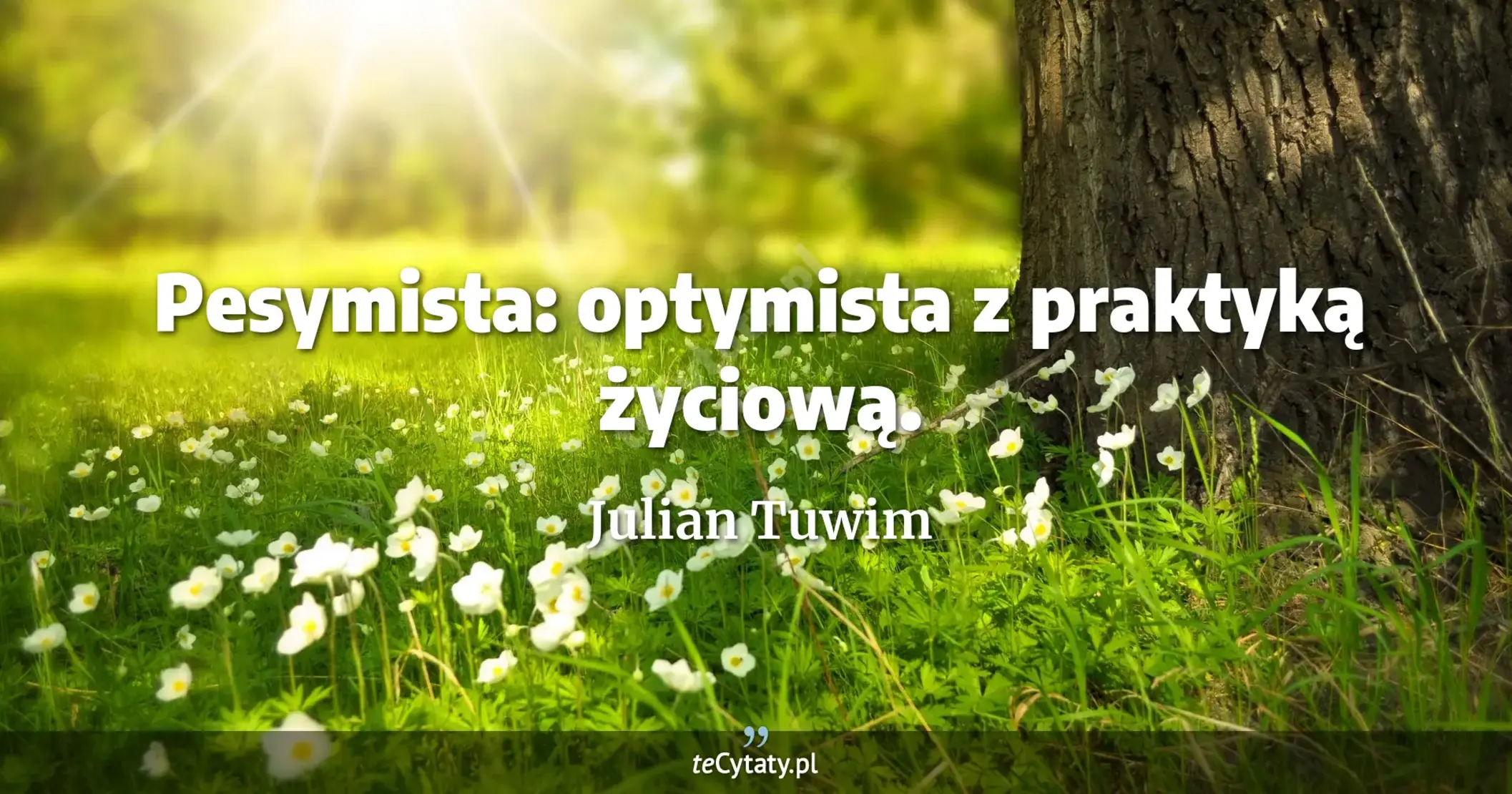 Pesymista: optymista z praktyką życiową. - Julian Tuwim