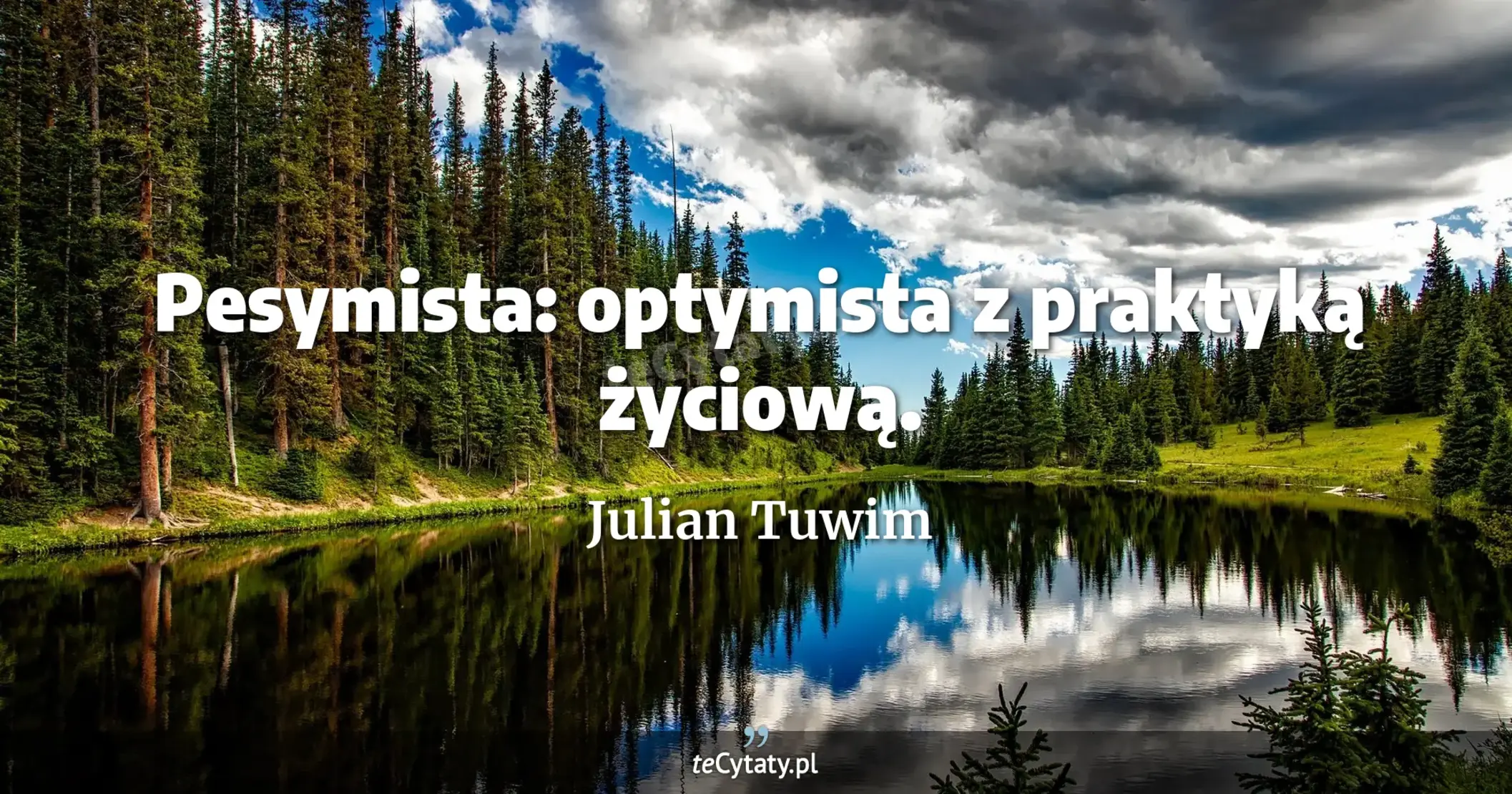Pesymista: optymista z praktyką życiową. - Julian Tuwim
