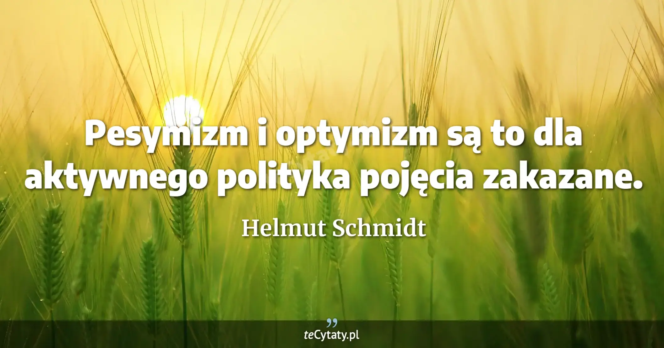 Pesymizm i optymizm są to dla aktywnego polityka pojęcia zakazane. - Helmut Schmidt
