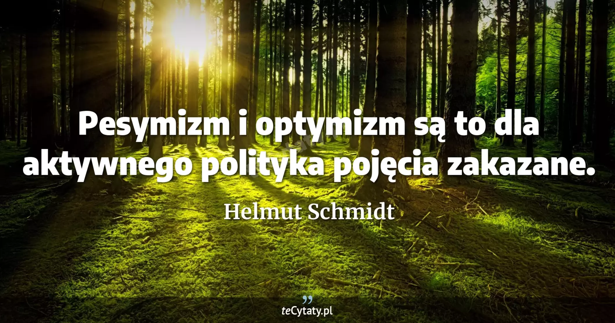 Pesymizm i optymizm są to dla aktywnego polityka pojęcia zakazane. - Helmut Schmidt