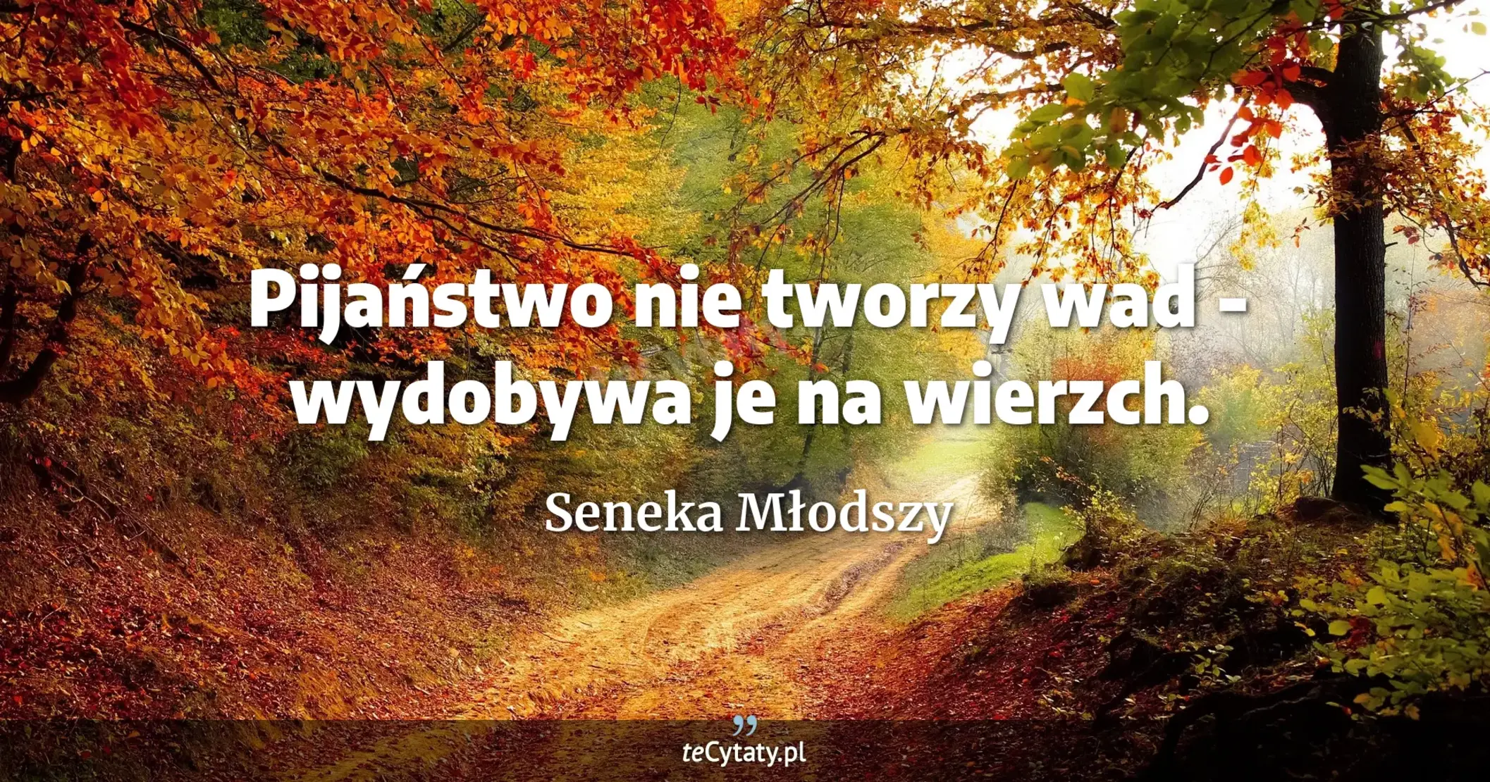 Pijaństwo nie tworzy wad - wydobywa je na wierzch. - Seneka Młodszy