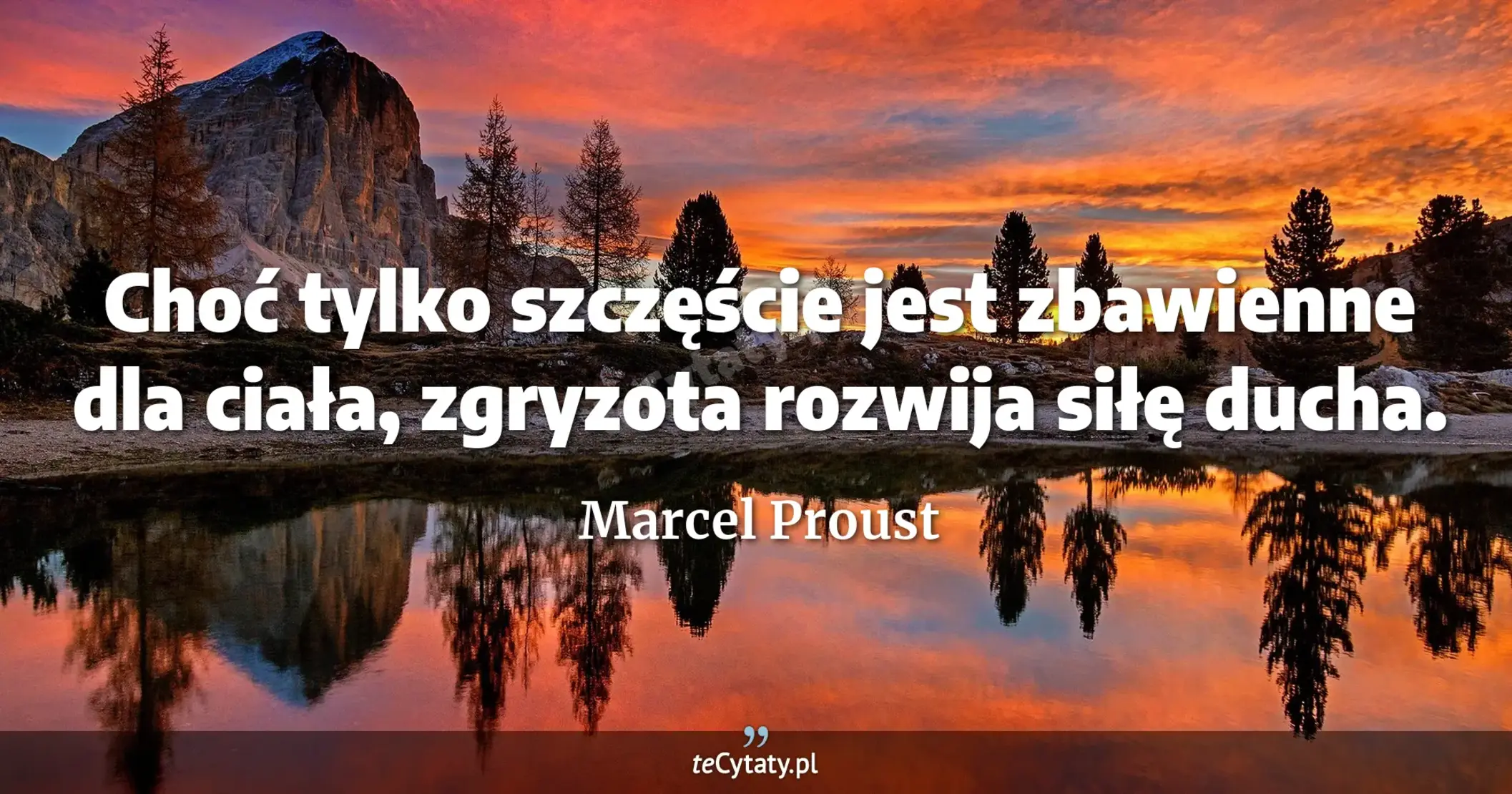 Choć tylko szczęście jest zbawienne dla ciała, zgryzota rozwija siłę ducha. - Marcel Proust