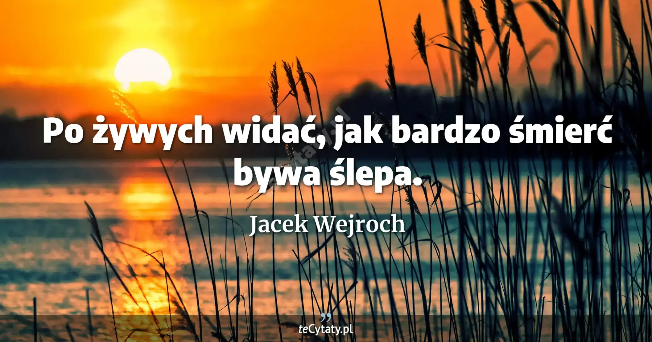 Po żywych widać, jak bardzo śmierć bywa ślepa. - Jacek Wejroch