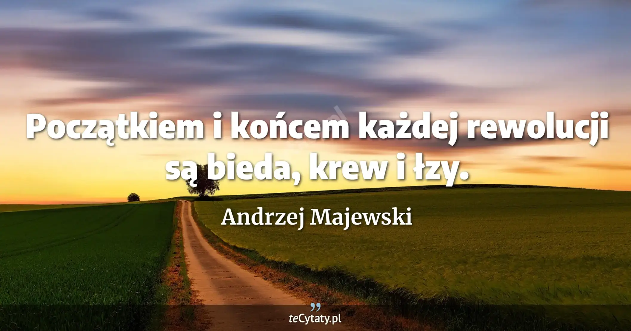Początkiem i końcem każdej rewolucji są bieda, krew i łzy. - Andrzej Majewski