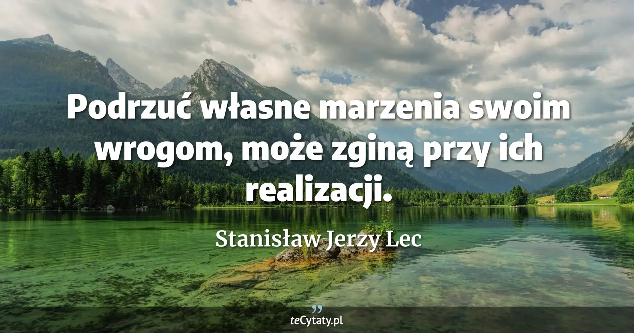 Podrzuć własne marzenia swoim wrogom, może zginą przy ich realizacji. - Stanisław Jerzy Lec