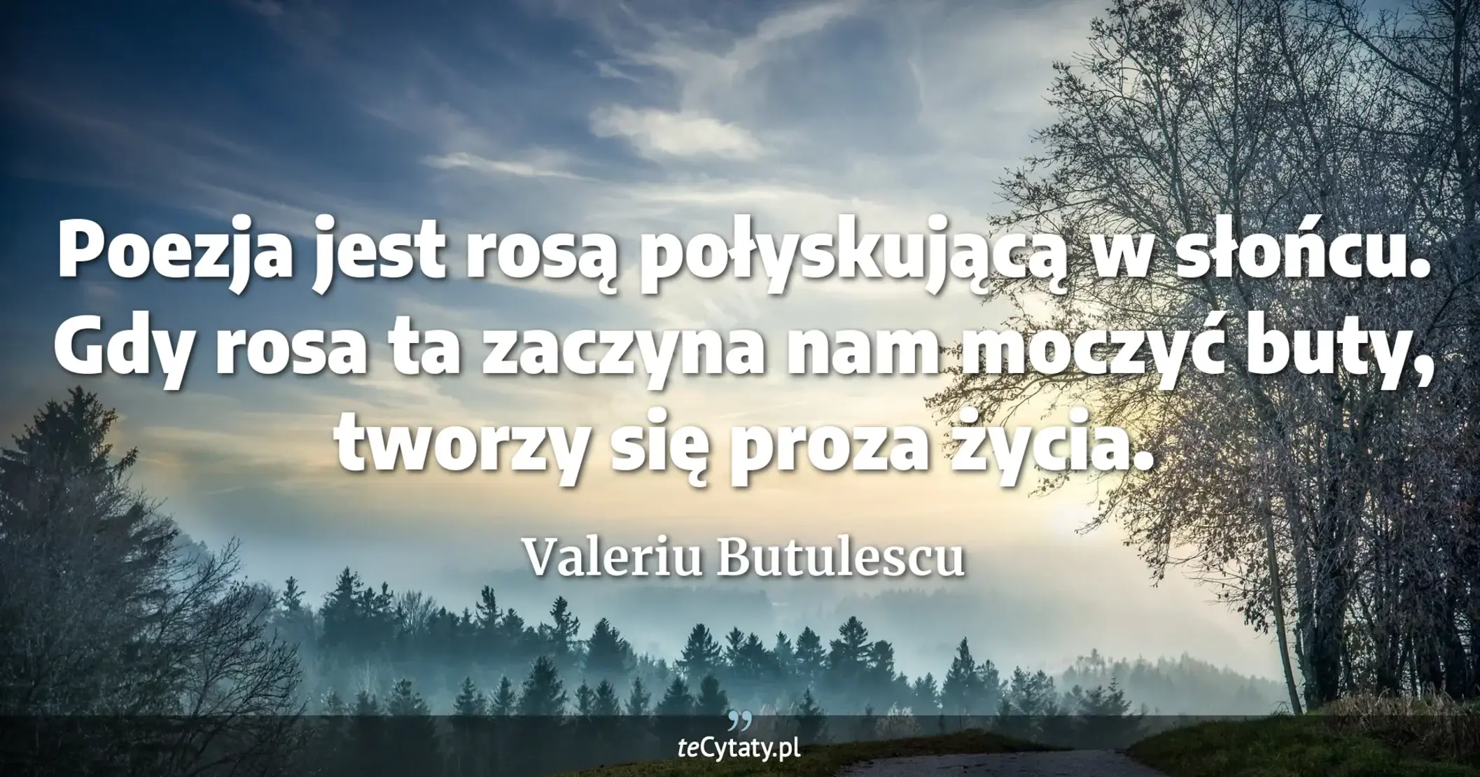 Poezja jest rosą połyskującą w słońcu. Gdy rosa ta zaczyna nam moczyć buty, tworzy się proza życia. - Valeriu Butulescu