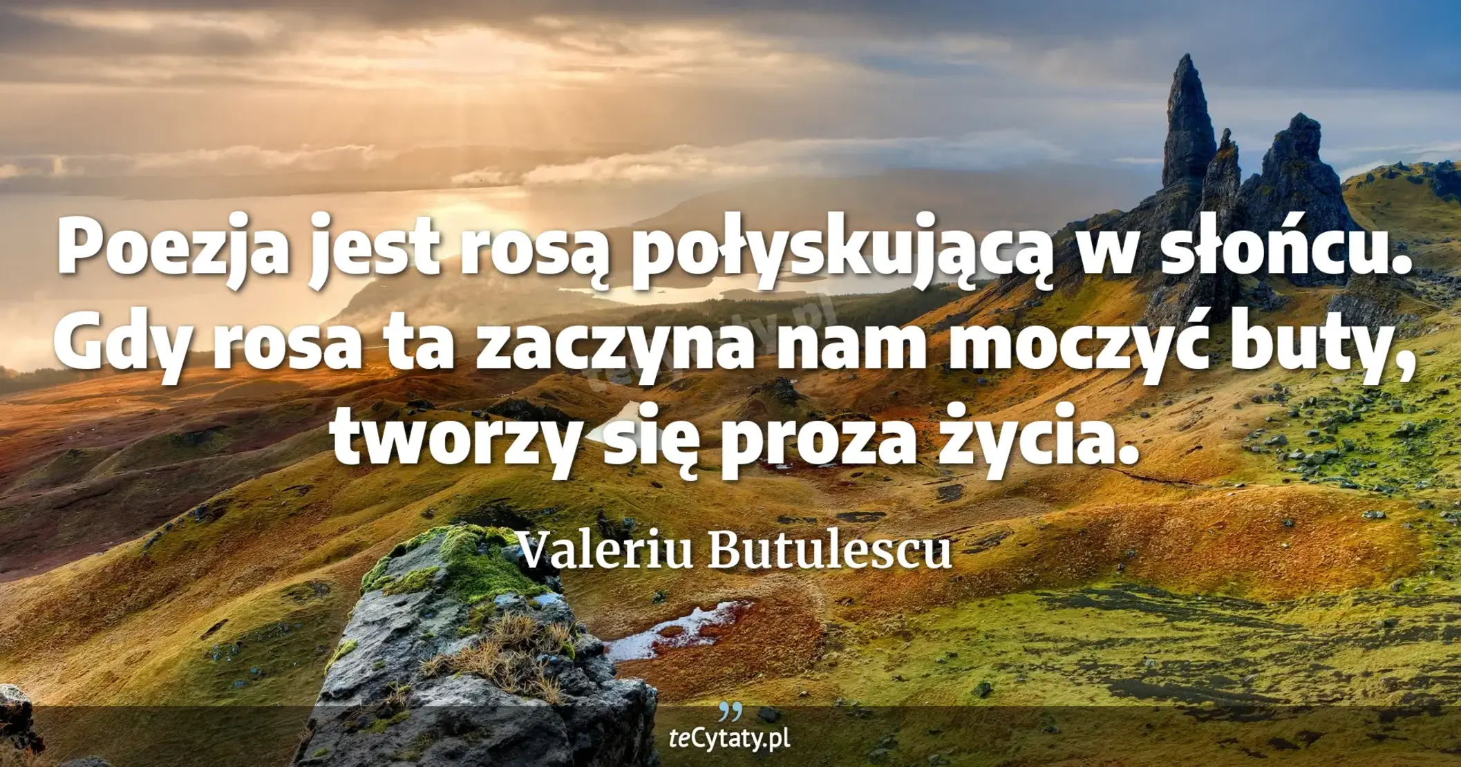Poezja jest rosą połyskującą w słońcu. Gdy rosa ta zaczyna nam moczyć buty, tworzy się proza życia. - Valeriu Butulescu