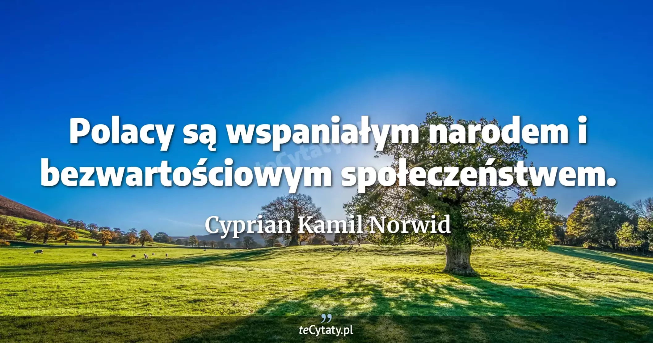 Polacy są wspaniałym narodem i bezwartościowym społeczeństwem. - Cyprian Kamil Norwid