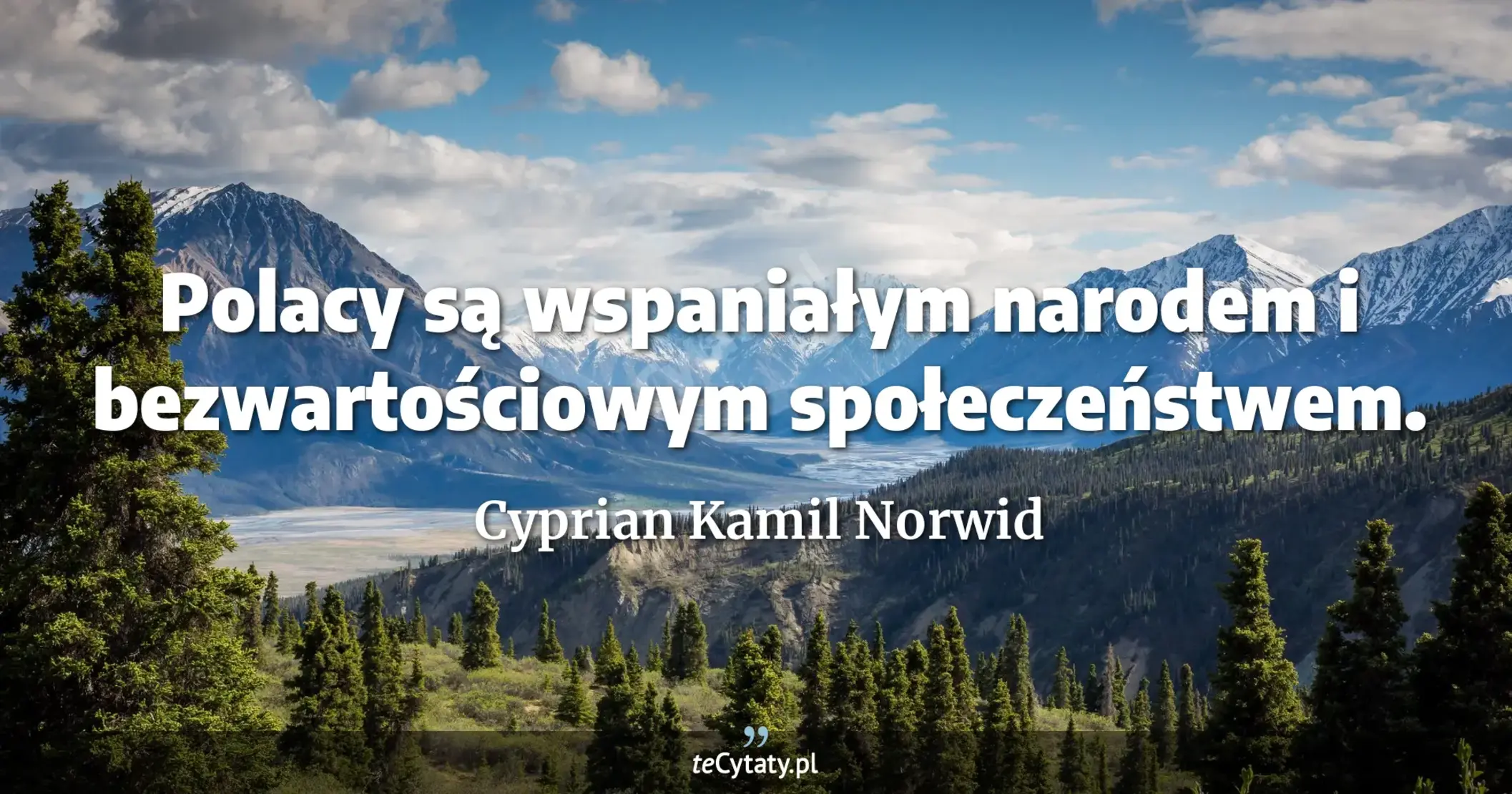 Polacy są wspaniałym narodem i bezwartościowym społeczeństwem. - Cyprian Kamil Norwid