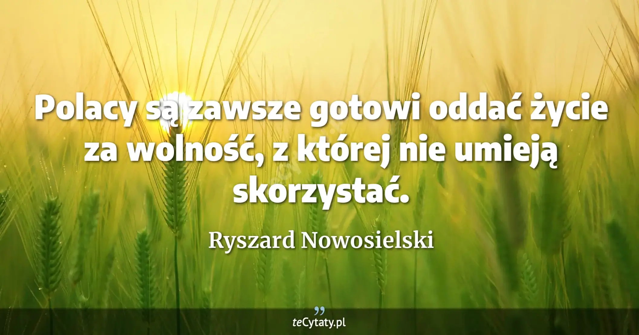 Polacy są zawsze gotowi oddać życie za wolność, z której nie umieją skorzystać. - Ryszard Nowosielski