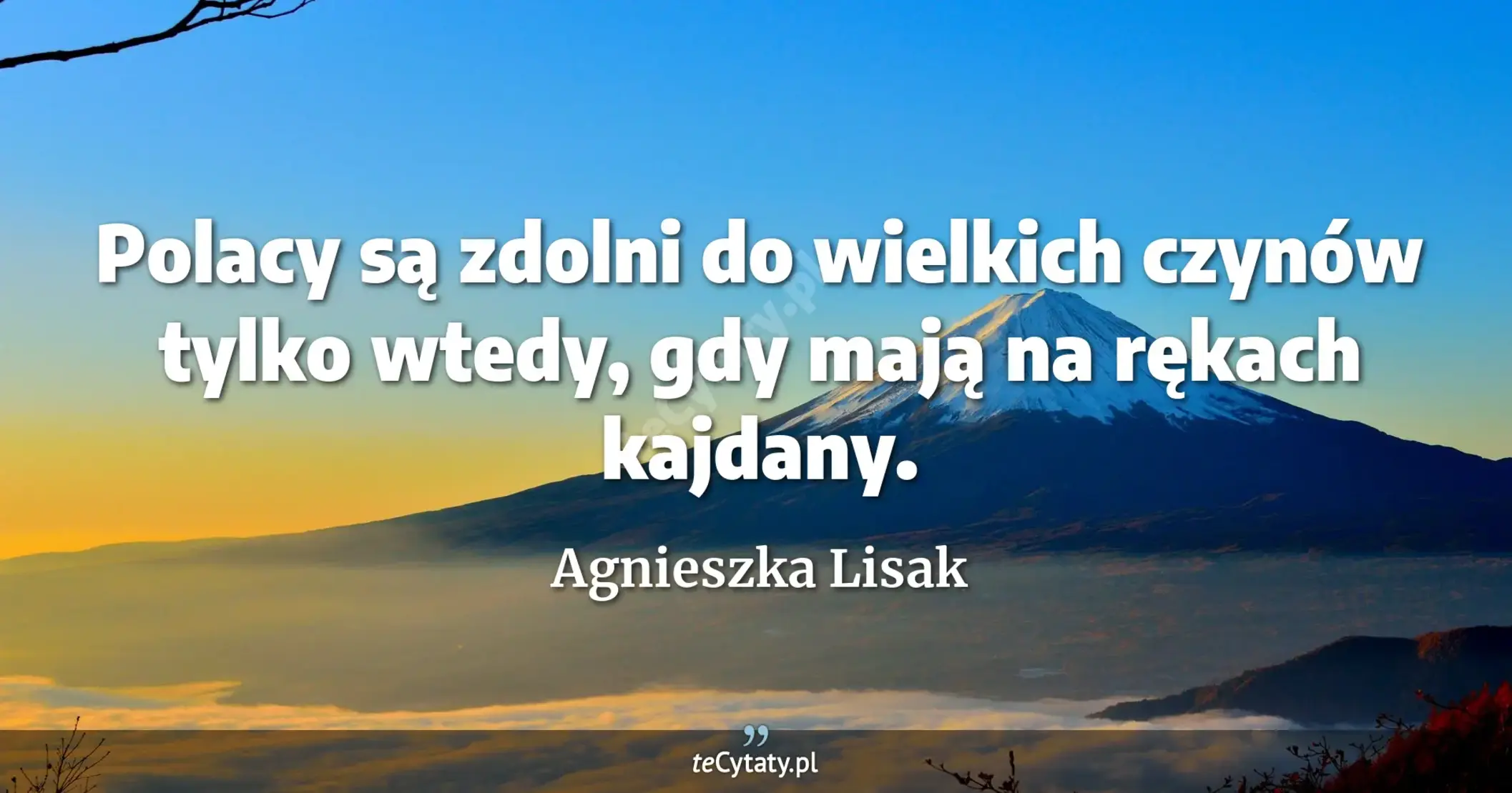 Polacy są zdolni do wielkich czynów tylko wtedy, gdy mają na rękach kajdany. - Agnieszka Lisak