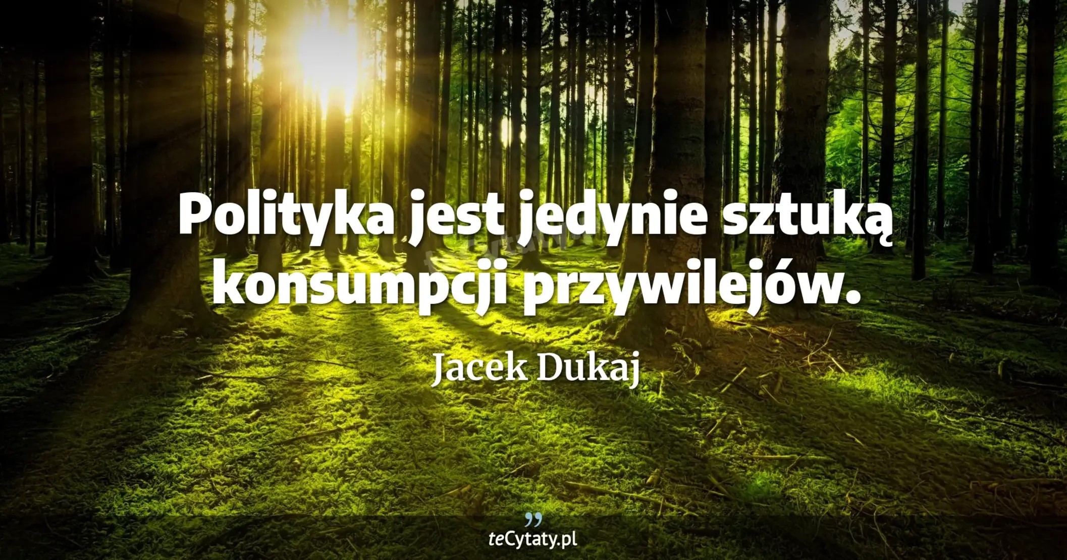 Polityka jest jedynie sztuką konsumpcji przywilejów. - Jacek Dukaj