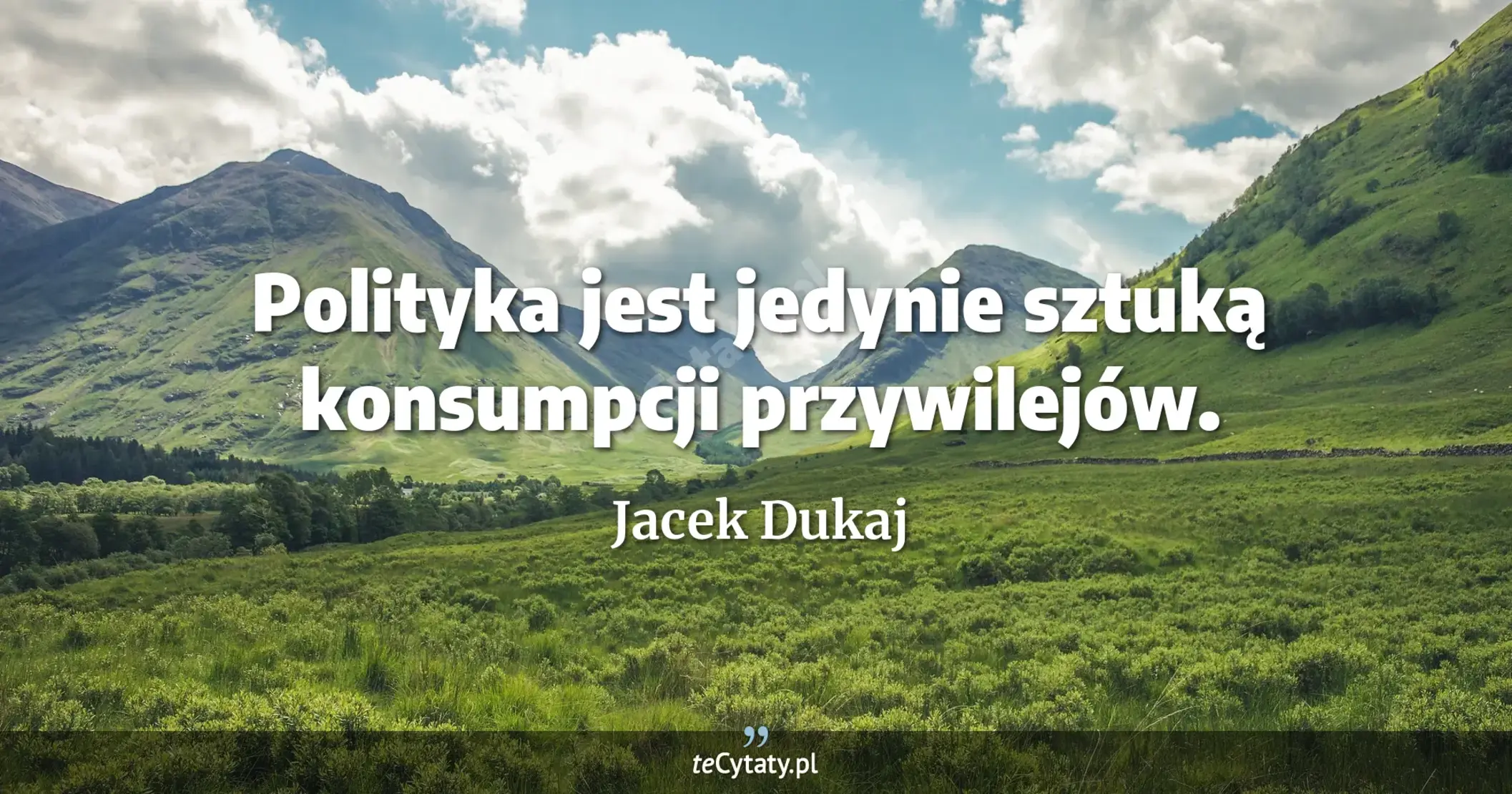 Polityka jest jedynie sztuką konsumpcji przywilejów. - Jacek Dukaj