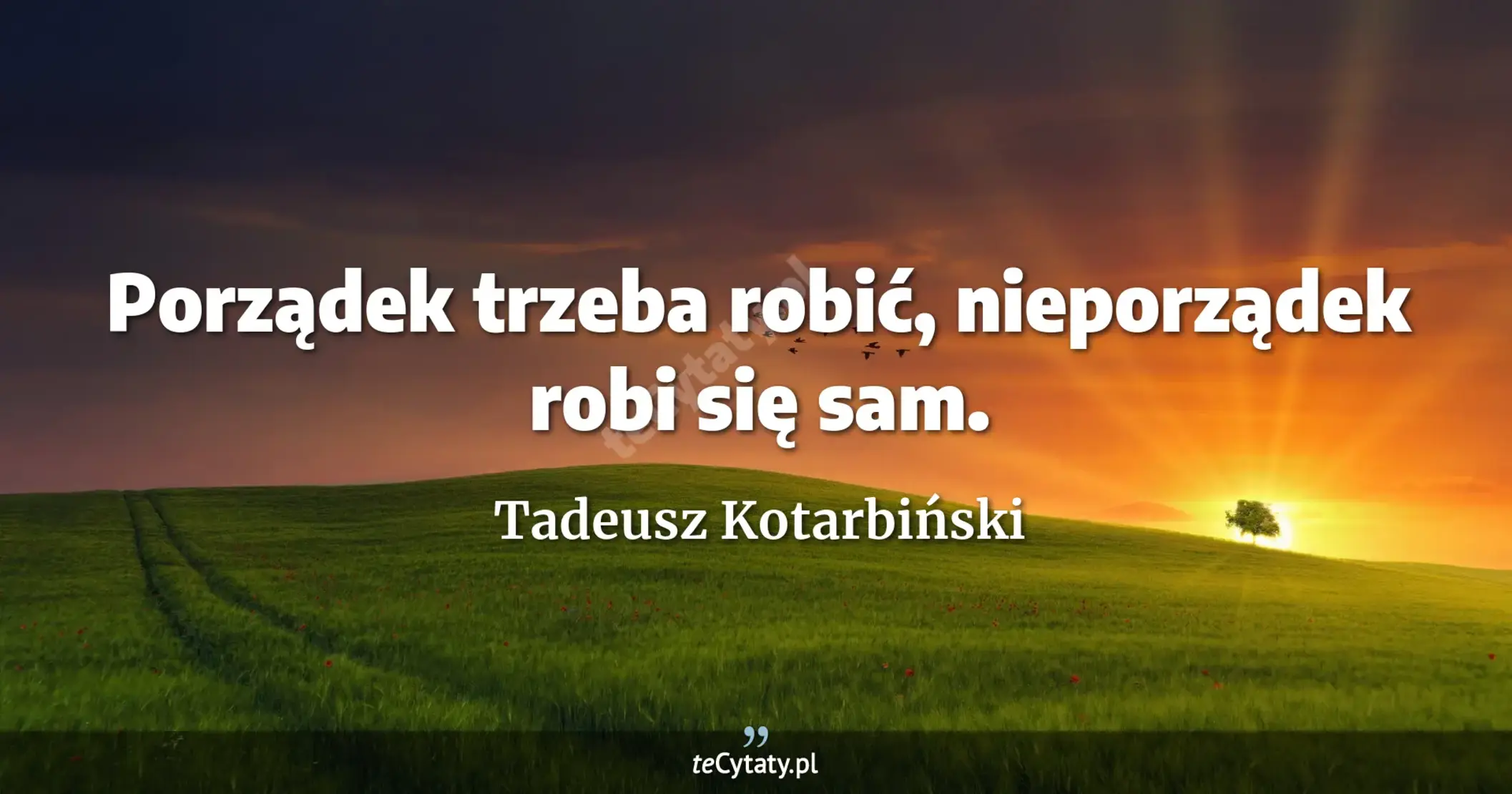 Porządek trzeba robić, nieporządek robi się sam. - Tadeusz Kotarbiński