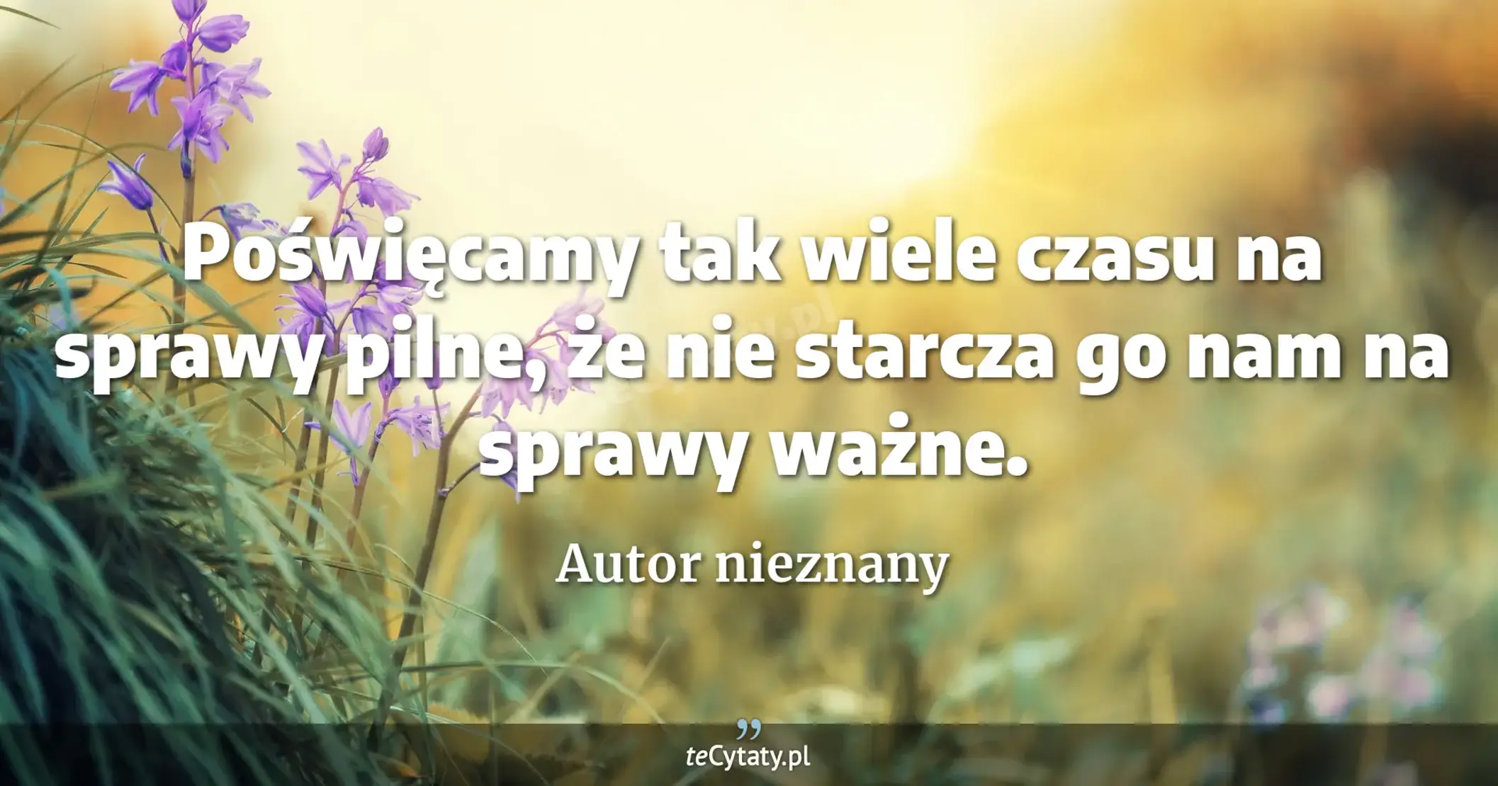 Poświęcamy tak wiele czasu na sprawy pilne, że nie starcza go nam na sprawy ważne. - Autor nieznany