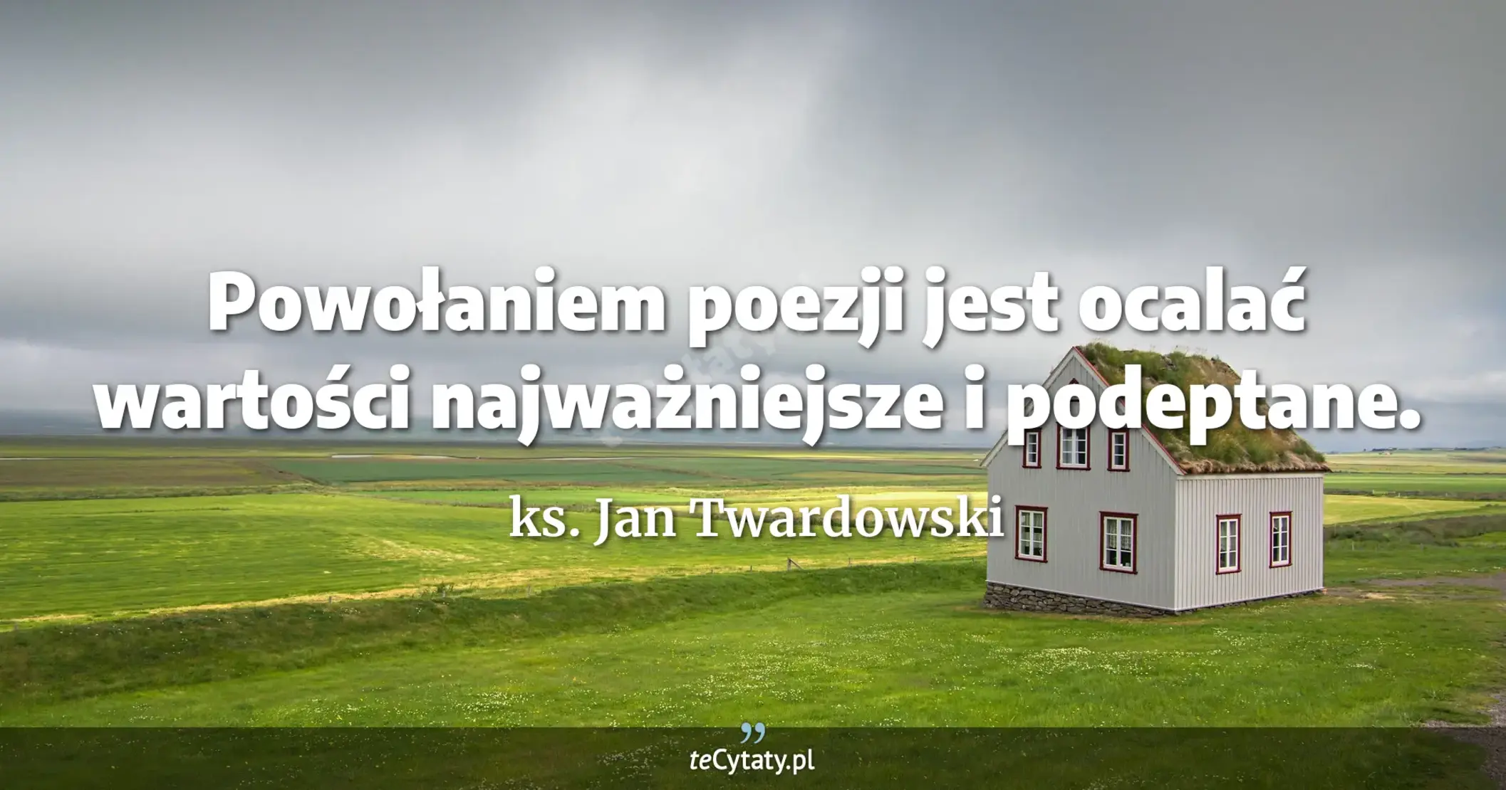 Powołaniem poezji jest ocalać wartości najważniejsze i podeptane. - ks. Jan Twardowski