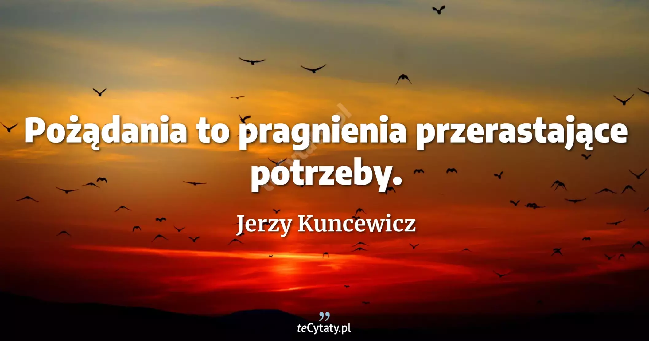 Pożądania to pragnienia przerastające potrzeby. - Jerzy Kuncewicz