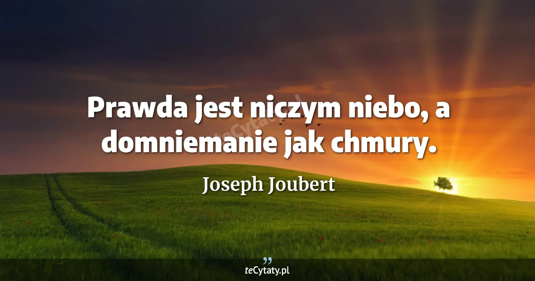 Prawda jest niczym niebo, a domniemanie jak chmury. - Joseph Joubert