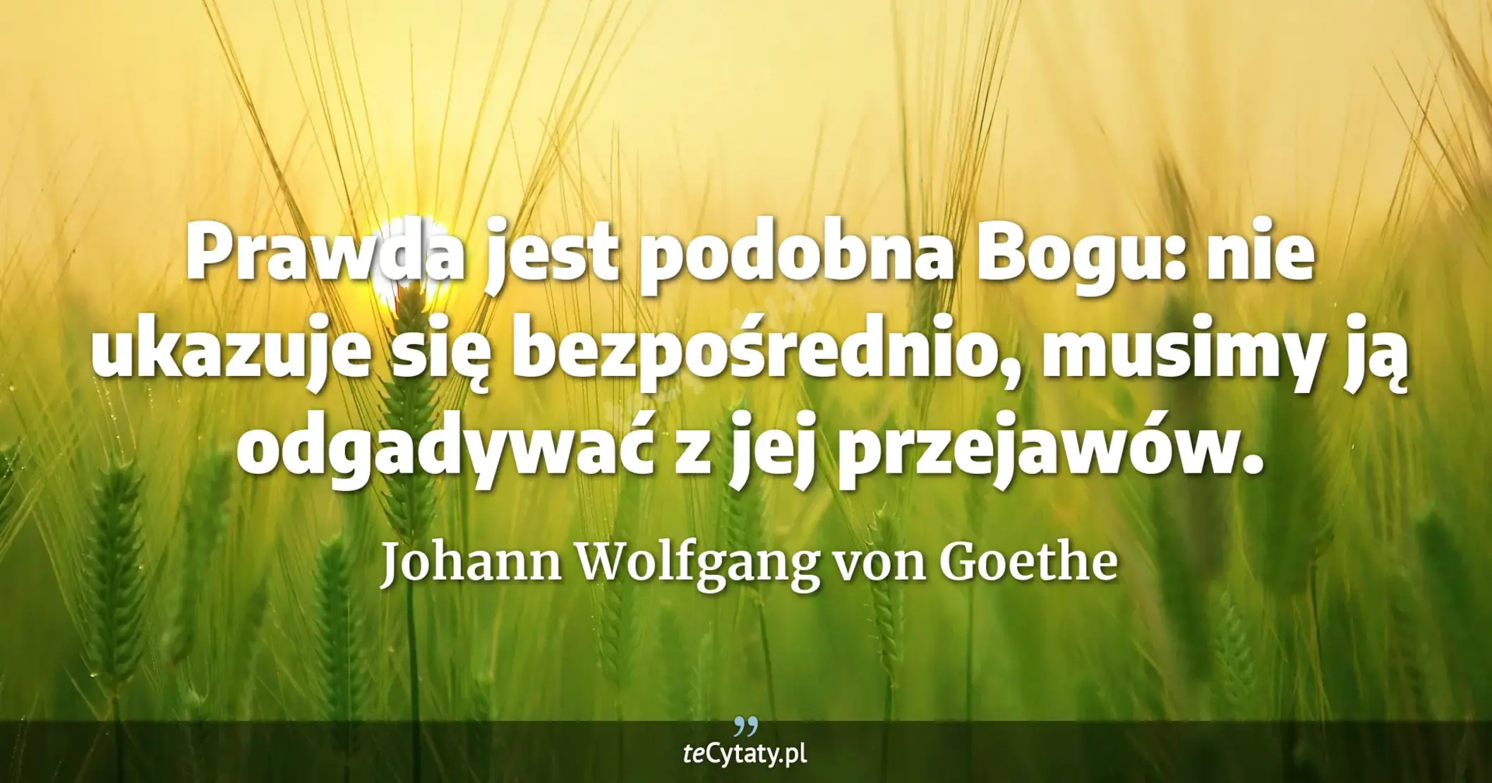 Prawda jest podobna Bogu: nie ukazuje się bezpośrednio, musimy ją odgadywać z jej przejawów. - Johann Wolfgang von Goethe