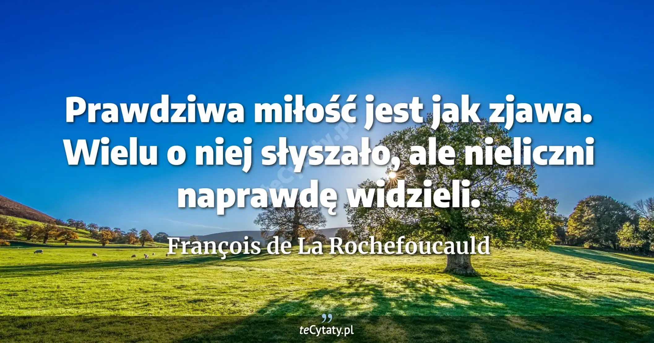 Prawdziwa miłość jest jak zjawa. Wielu o niej słyszało, ale nieliczni naprawdę widzieli. - François de La Rochefoucauld