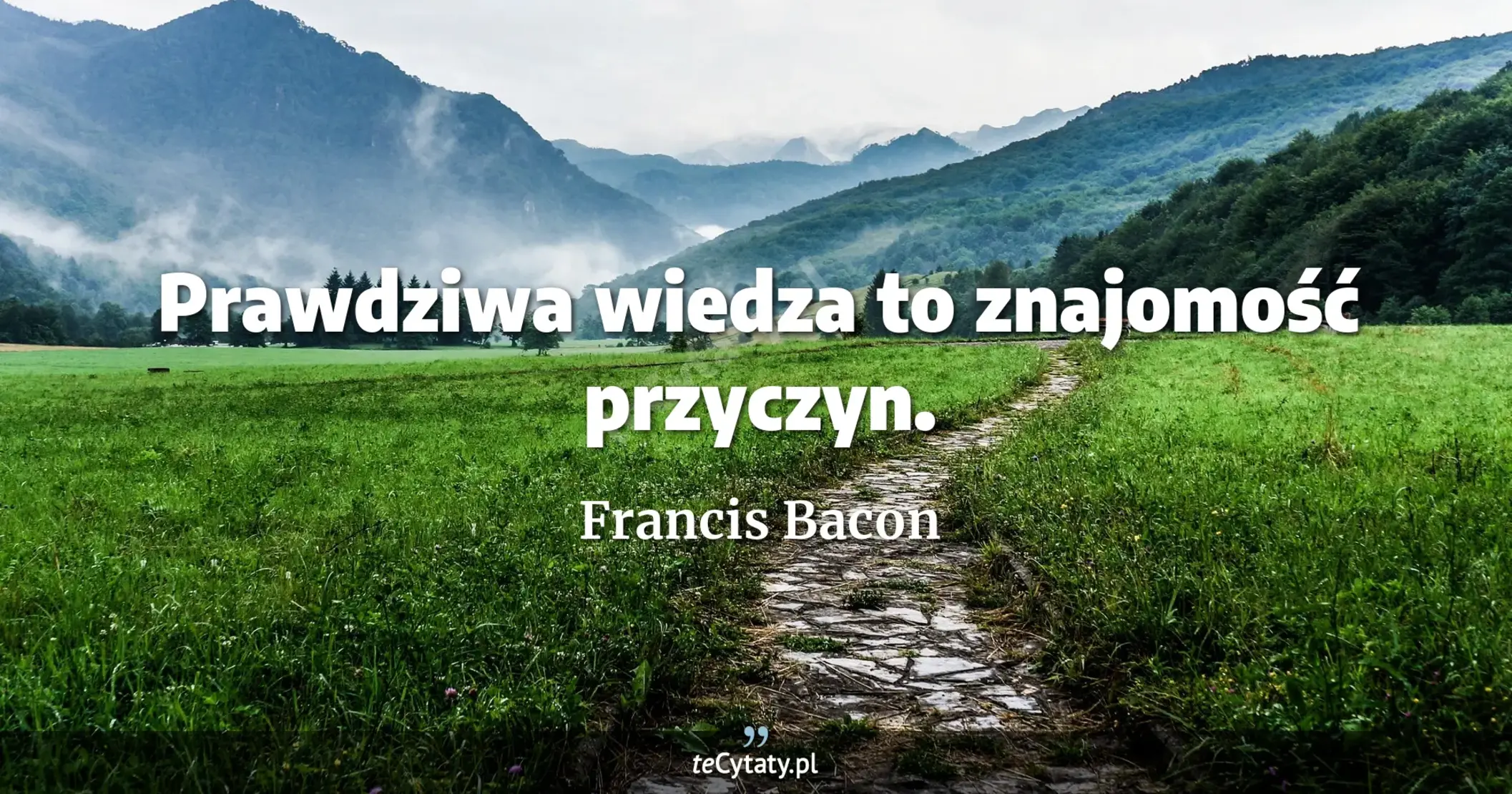 Prawdziwa wiedza to znajomość przyczyn. - Francis Bacon