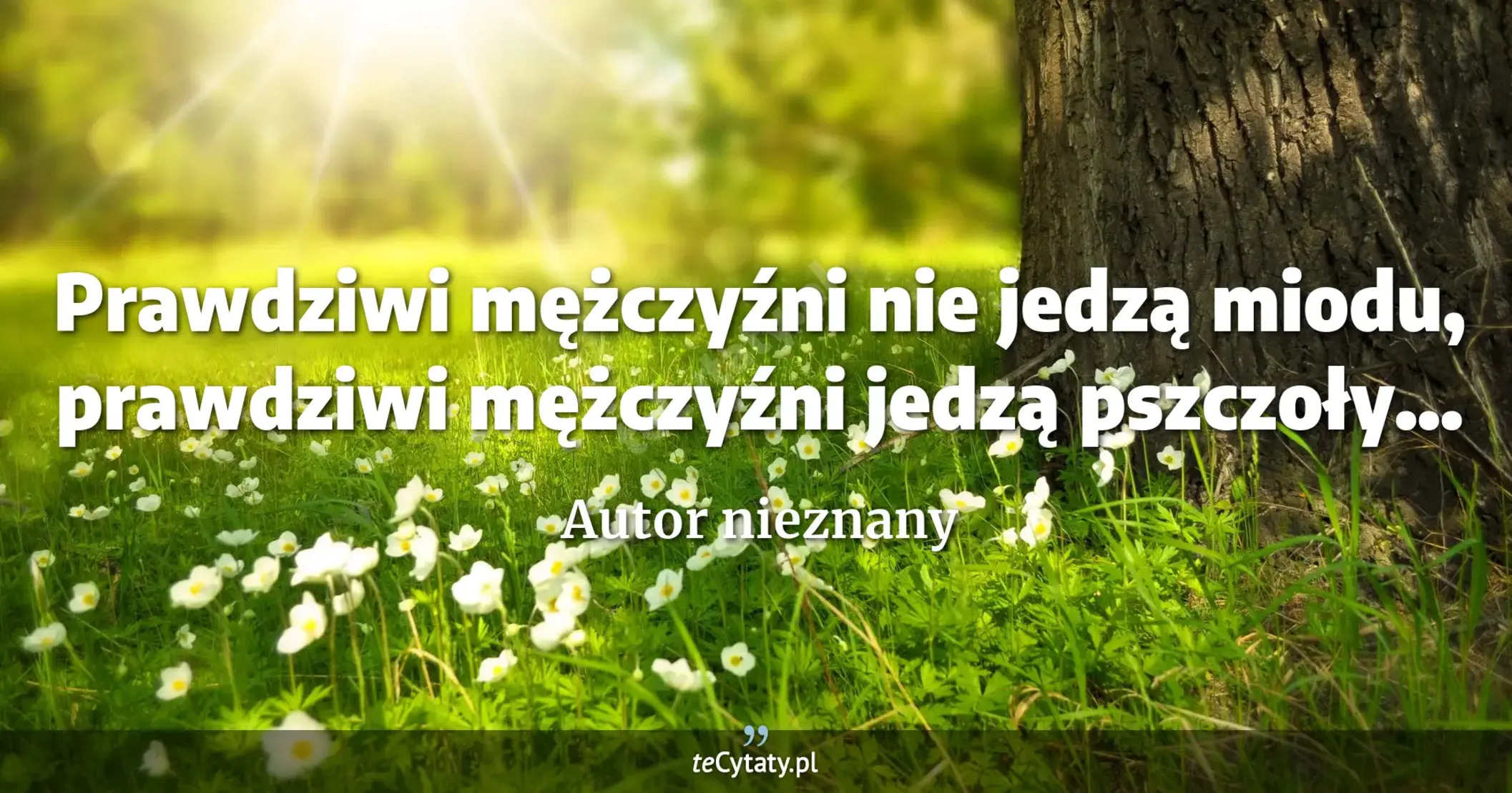 Prawdziwi mężczyźni nie jedzą miodu, prawdziwi mężczyźni jedzą pszczoły... - Autor nieznany