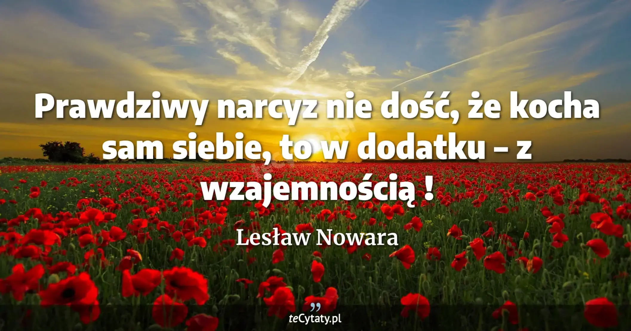 Prawdziwy narcyz nie dość, że kocha sam siebie, to w dodatku – z wzajemnością ! - Lesław Nowara