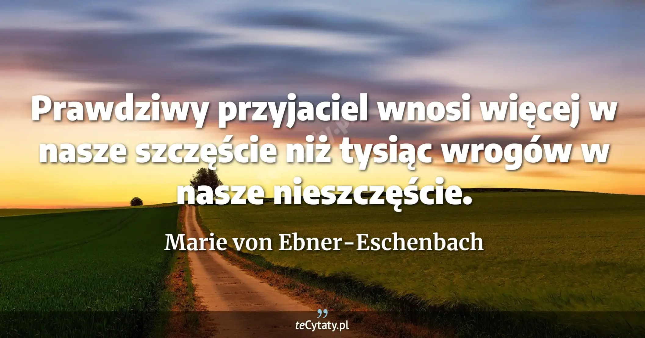 Prawdziwy przyjaciel wnosi więcej w nasze szczęście niż tysiąc wrogów w nasze nieszczęście. - Marie von Ebner-Eschenbach