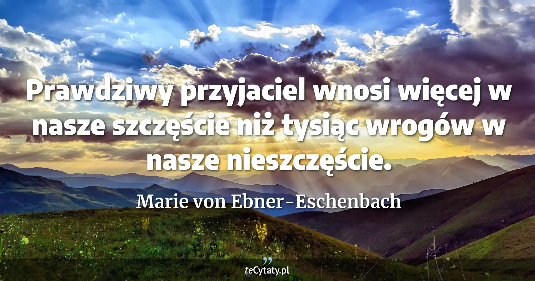 Prawdziwy przyjaciel wnosi więcej w nasze szczęście niż tysiąc wrogów w nasze nieszczęście. - Marie von Ebner-Eschenbach