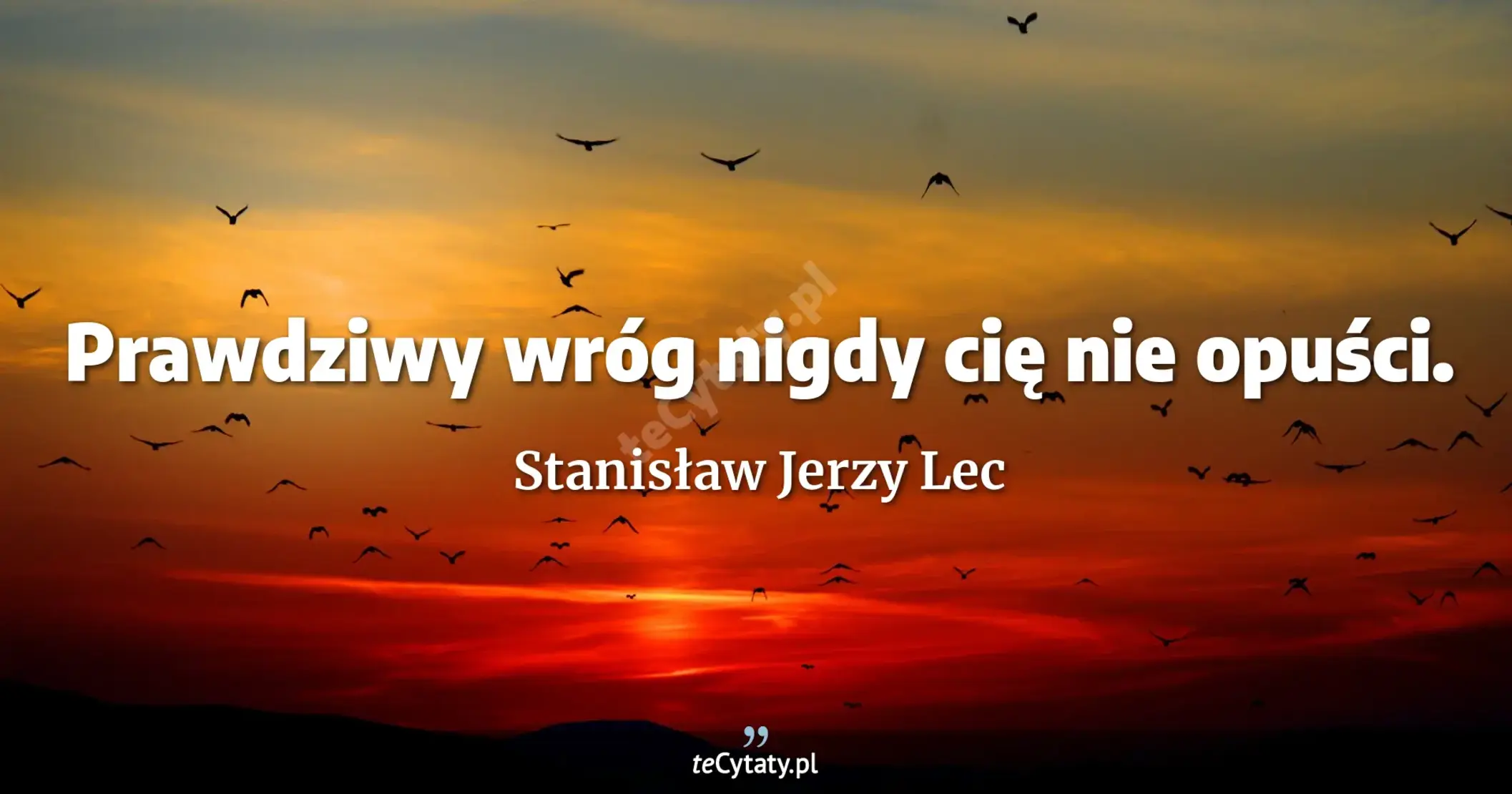 Prawdziwy wróg nigdy cię nie opuści. - Stanisław Jerzy Lec