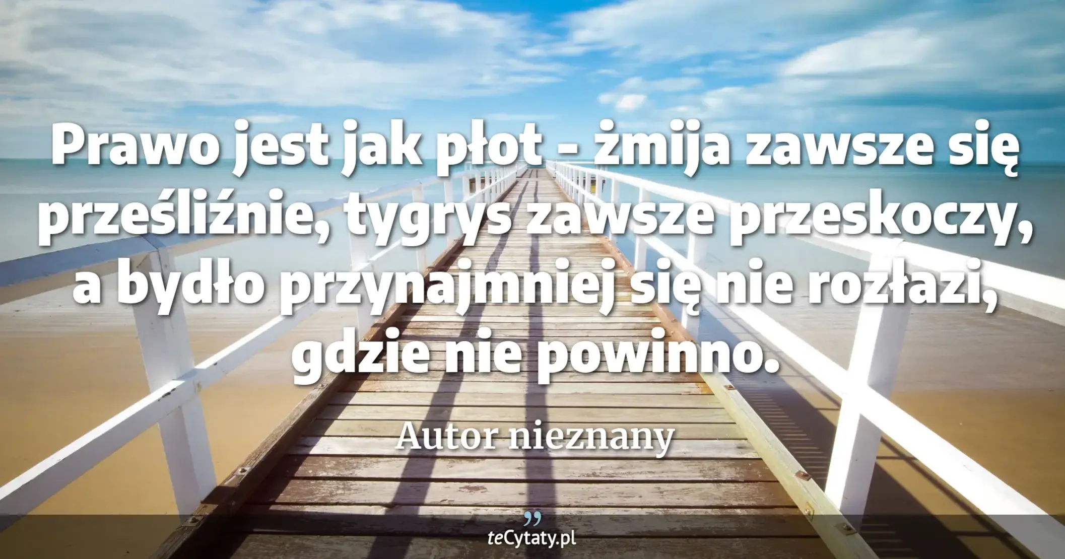 Prawo jest jak płot - żmija zawsze się prześliźnie, tygrys zawsze przeskoczy, a bydło przynajmniej się nie rozłazi, gdzie nie powinno. - Autor nieznany