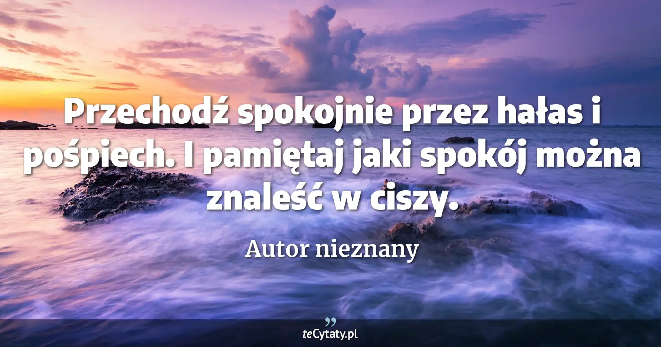 Przechodź spokojnie przez hałas i pośpiech. I pamiętaj jaki spokój można znaleść w ciszy. - Autor nieznany