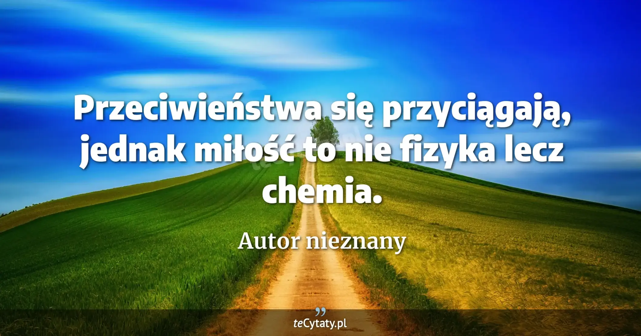 Przeciwieństwa się przyciągają, jednak miłość to nie fizyka lecz chemia. - Autor nieznany