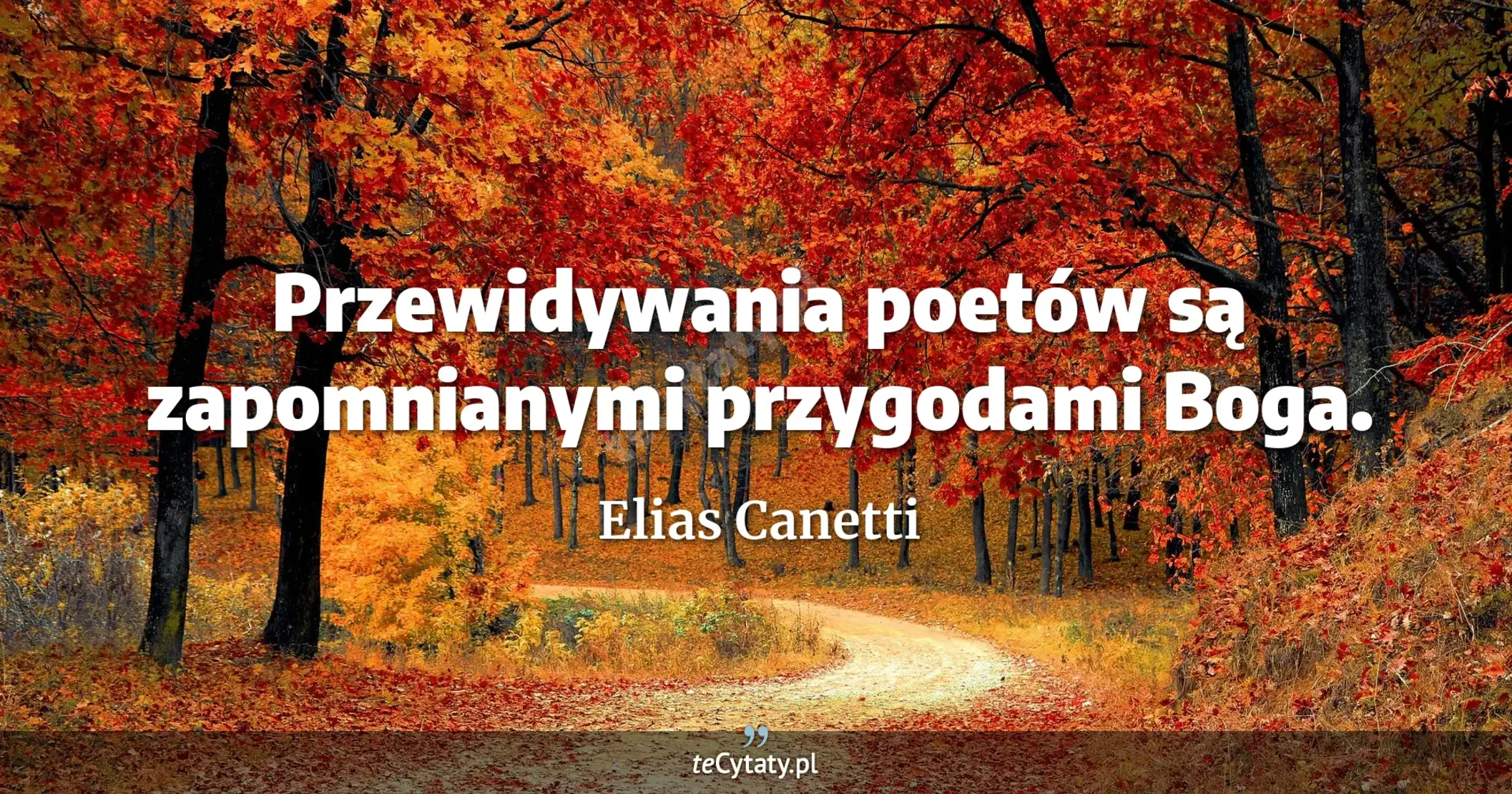 Przewidywania poetów są zapomnianymi przygodami Boga. - Elias Canetti