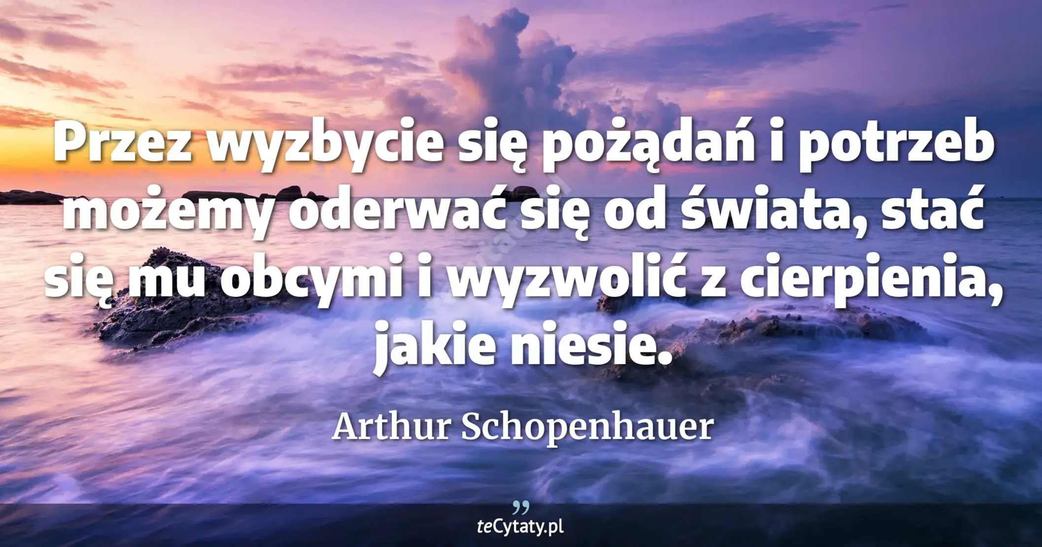 Przez wyzbycie się pożądań i potrzeb możemy oderwać się od świata, stać się mu obcymi i wyzwolić z cierpienia, jakie niesie. - Arthur Schopenhauer