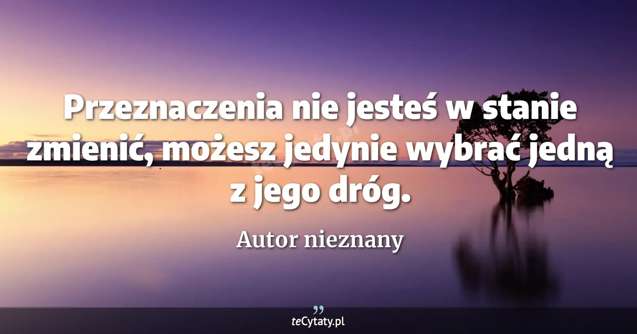 Przeznaczenia nie jesteś w stanie zmienić, możesz jedynie wybrać jedną z jego dróg. - Autor nieznany