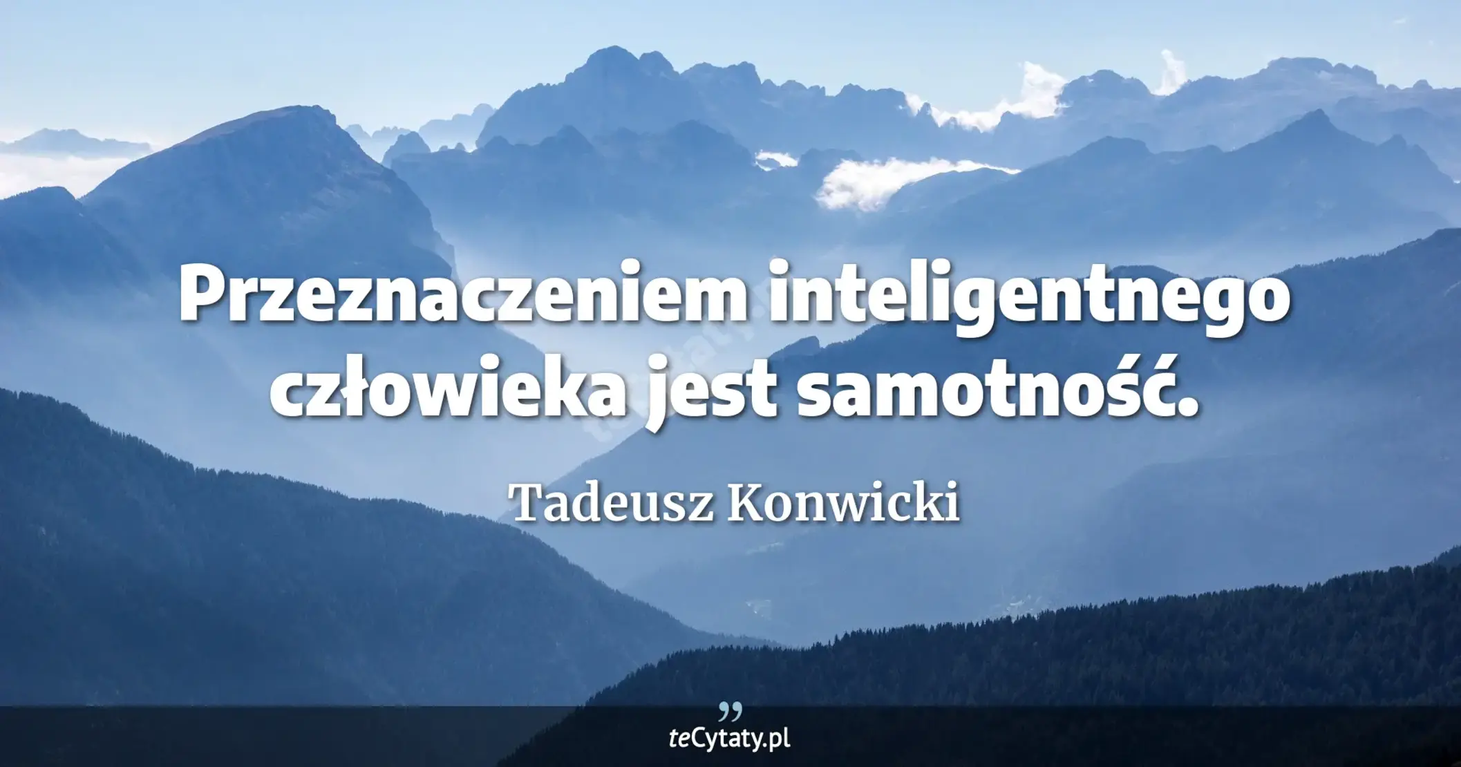 Przeznaczeniem inteligentnego człowieka jest samotność. - Tadeusz Konwicki