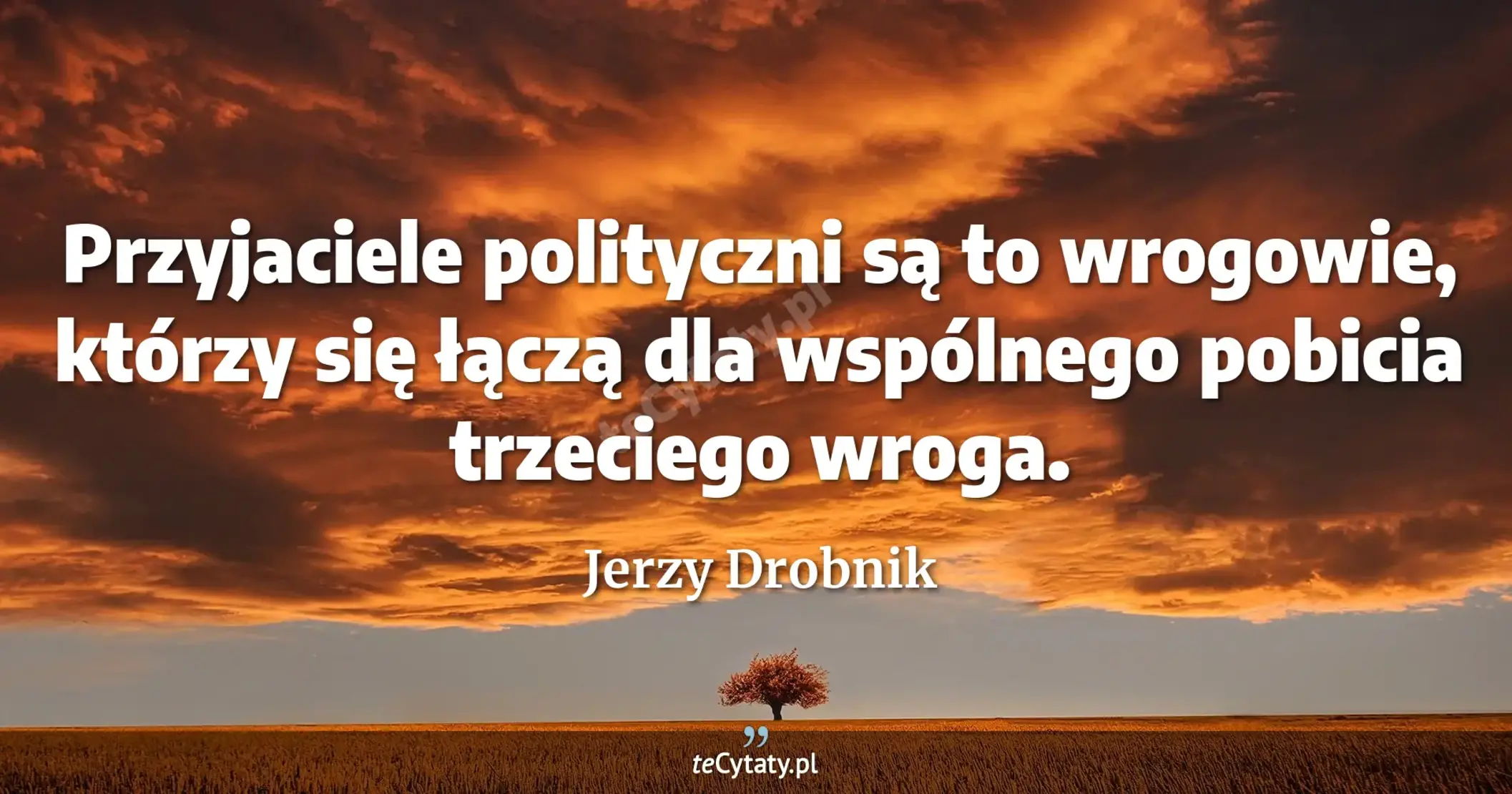 Przyjaciele polityczni są to wrogowie, którzy się łączą dla wspólnego pobicia trzeciego wroga. - Jerzy Drobnik