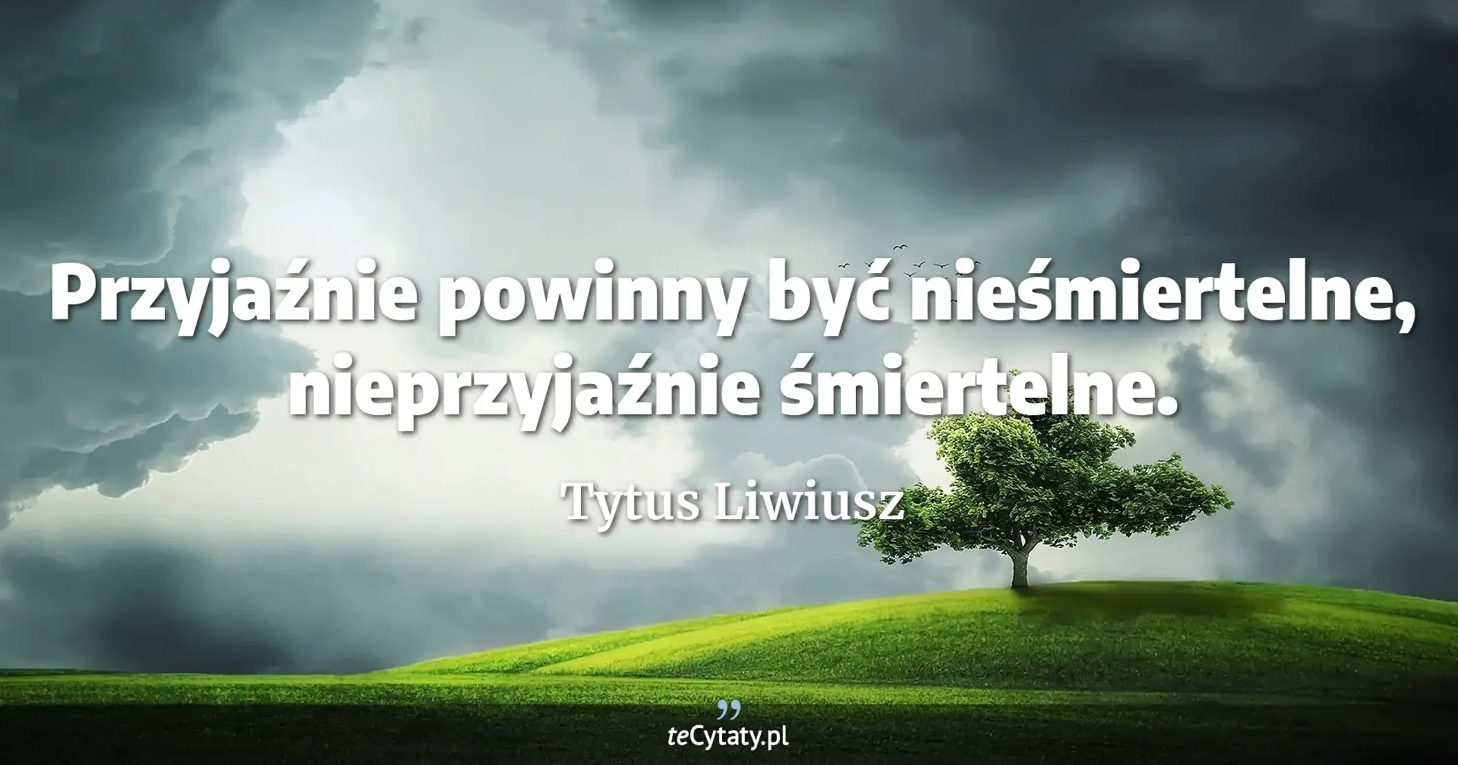 Przyjaźnie powinny być nieśmiertelne, nieprzyjaźnie śmiertelne. - Tytus Liwiusz