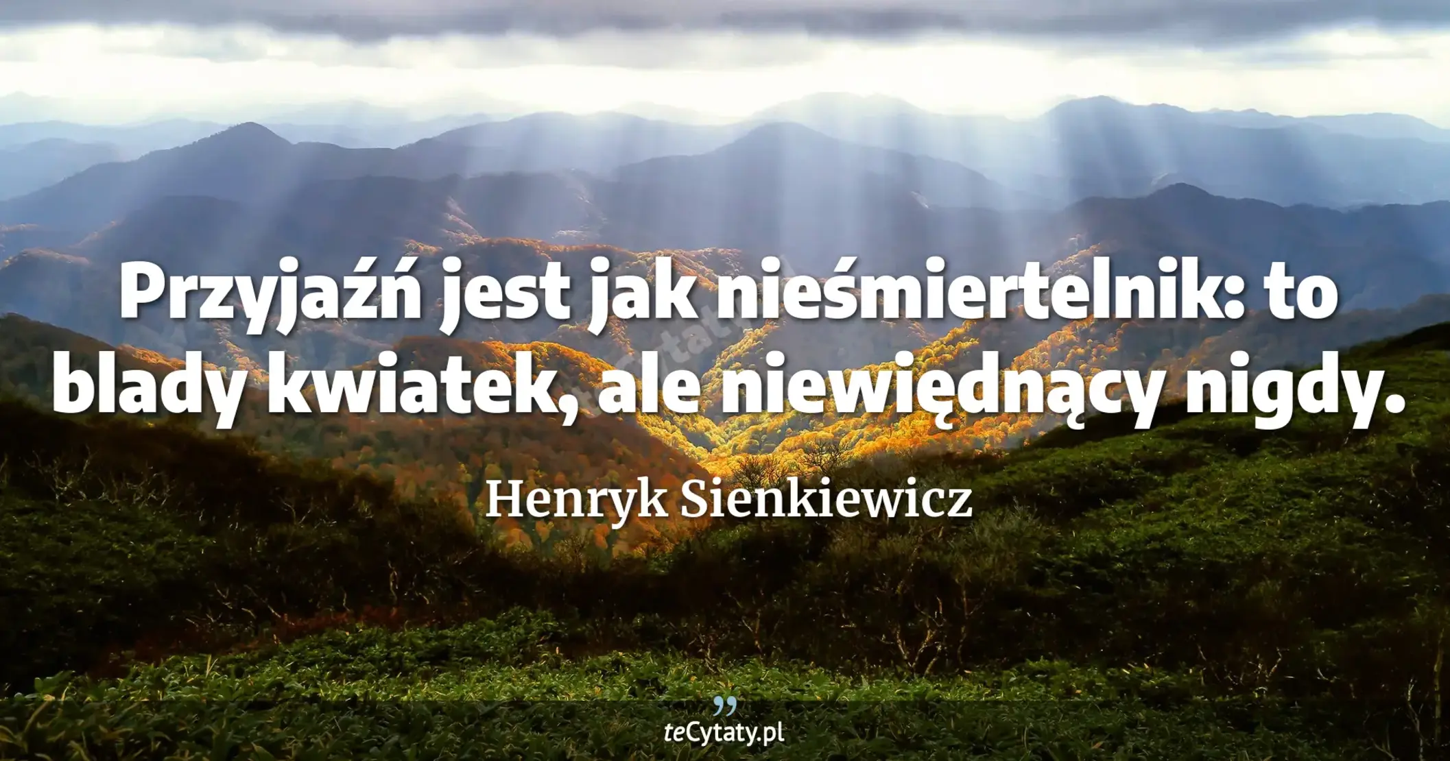 Przyjaźń jest jak nieśmiertelnik: to blady kwiatek, ale niewiędnący nigdy. - Henryk Sienkiewicz