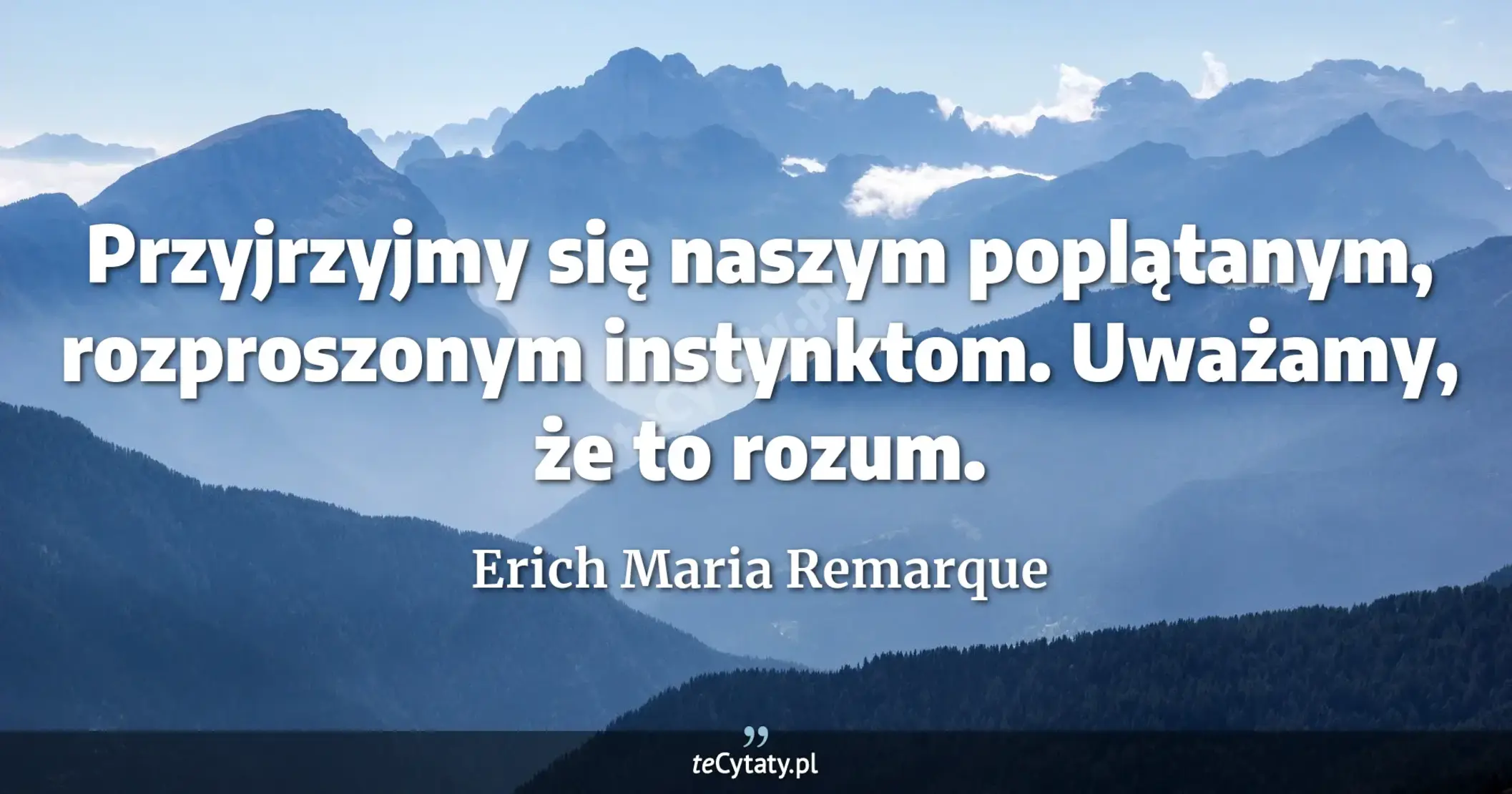 Przyjrzyjmy się naszym poplątanym, rozproszonym instynktom. Uważamy, że to rozum. - Erich Maria Remarque