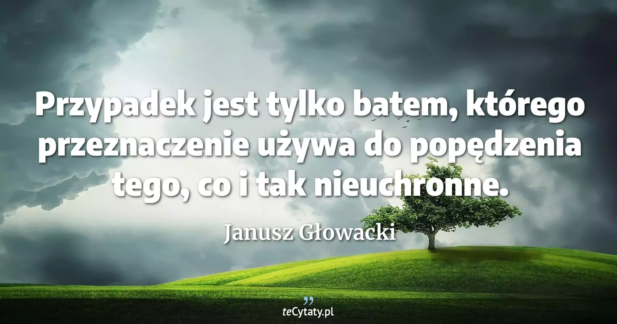 Przypadek jest tylko batem, którego przeznaczenie używa do popędzenia tego, co i tak nieuchronne. - Janusz Głowacki