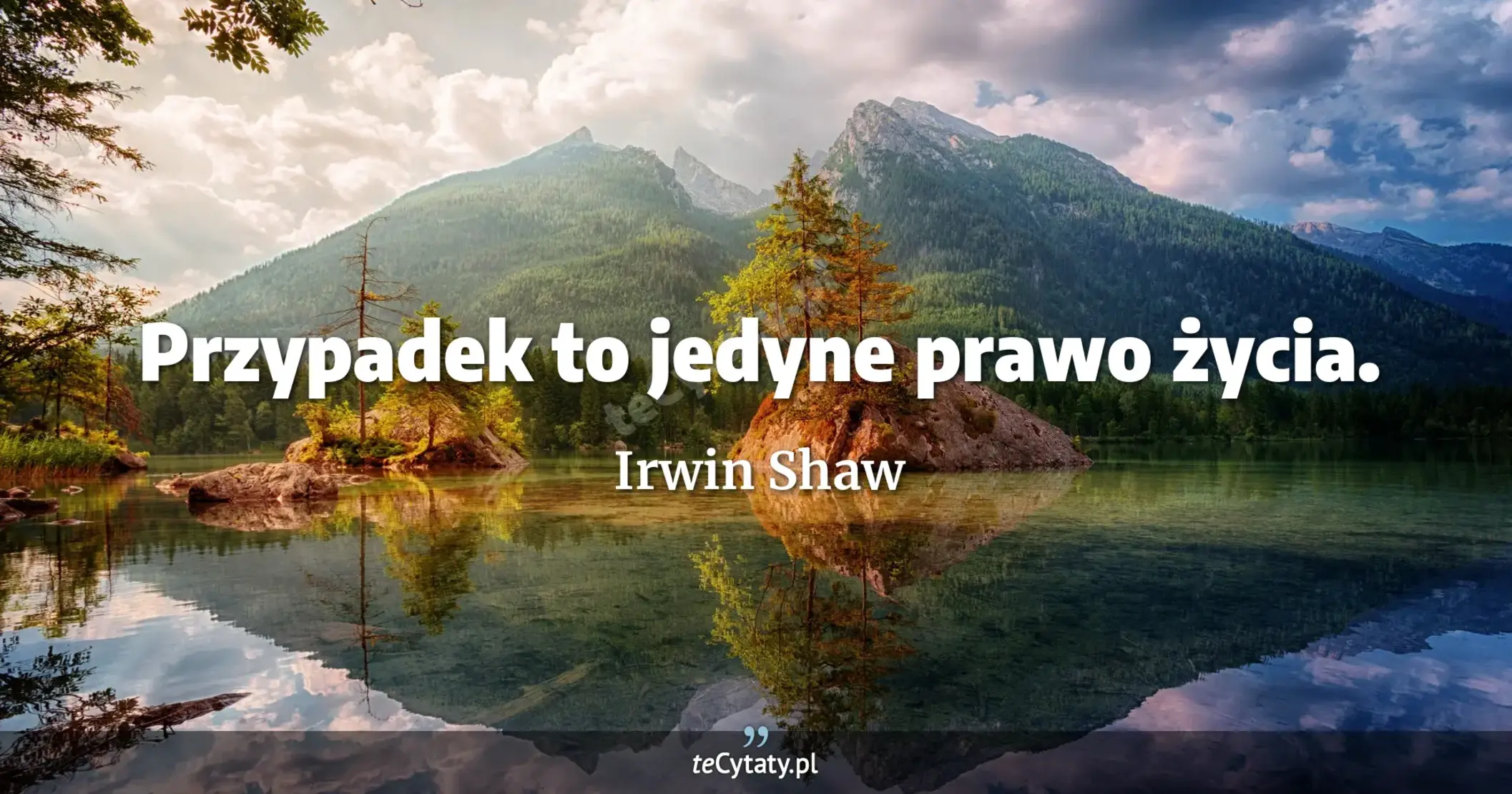 Przypadek to jedyne prawo życia. - Irwin Shaw