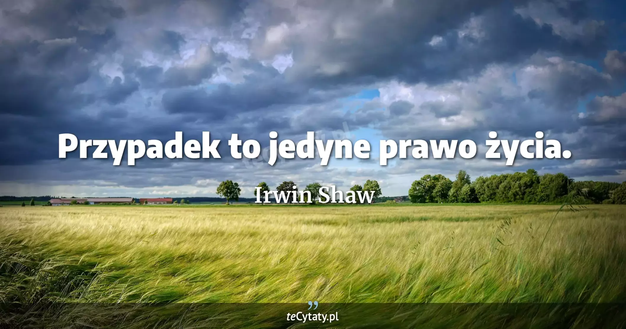 Przypadek to jedyne prawo życia. - Irwin Shaw