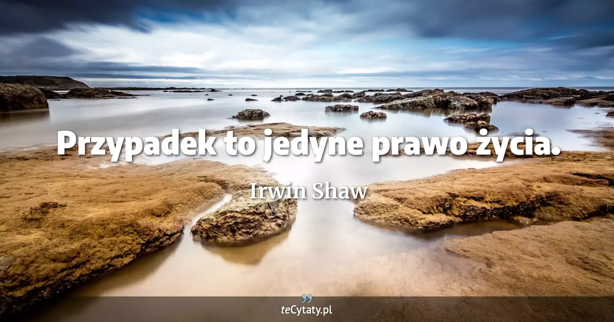 Przypadek to jedyne prawo życia. - Irwin Shaw