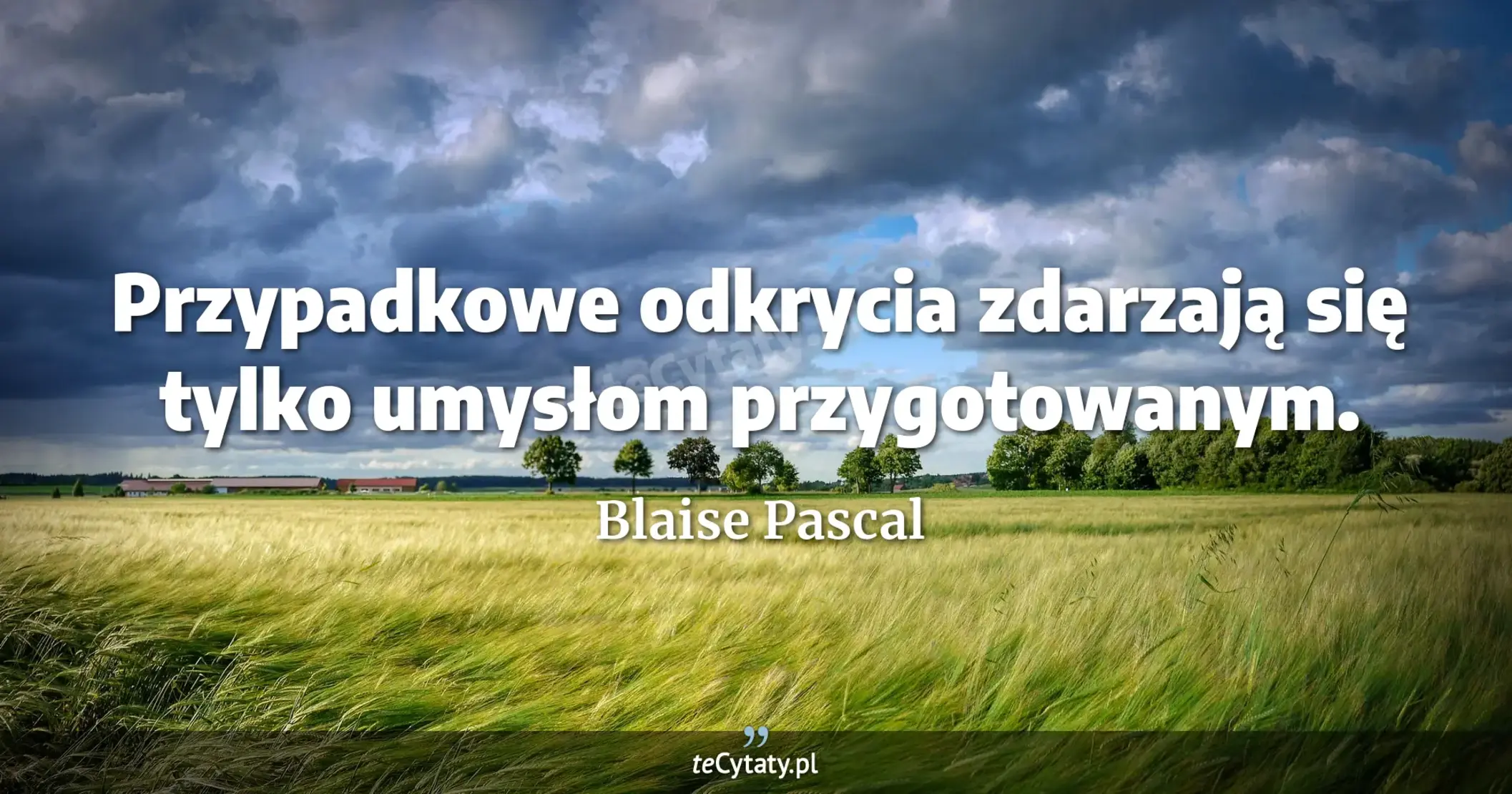 Przypadkowe odkrycia zdarzają się tylko umysłom przygotowanym. - Blaise Pascal