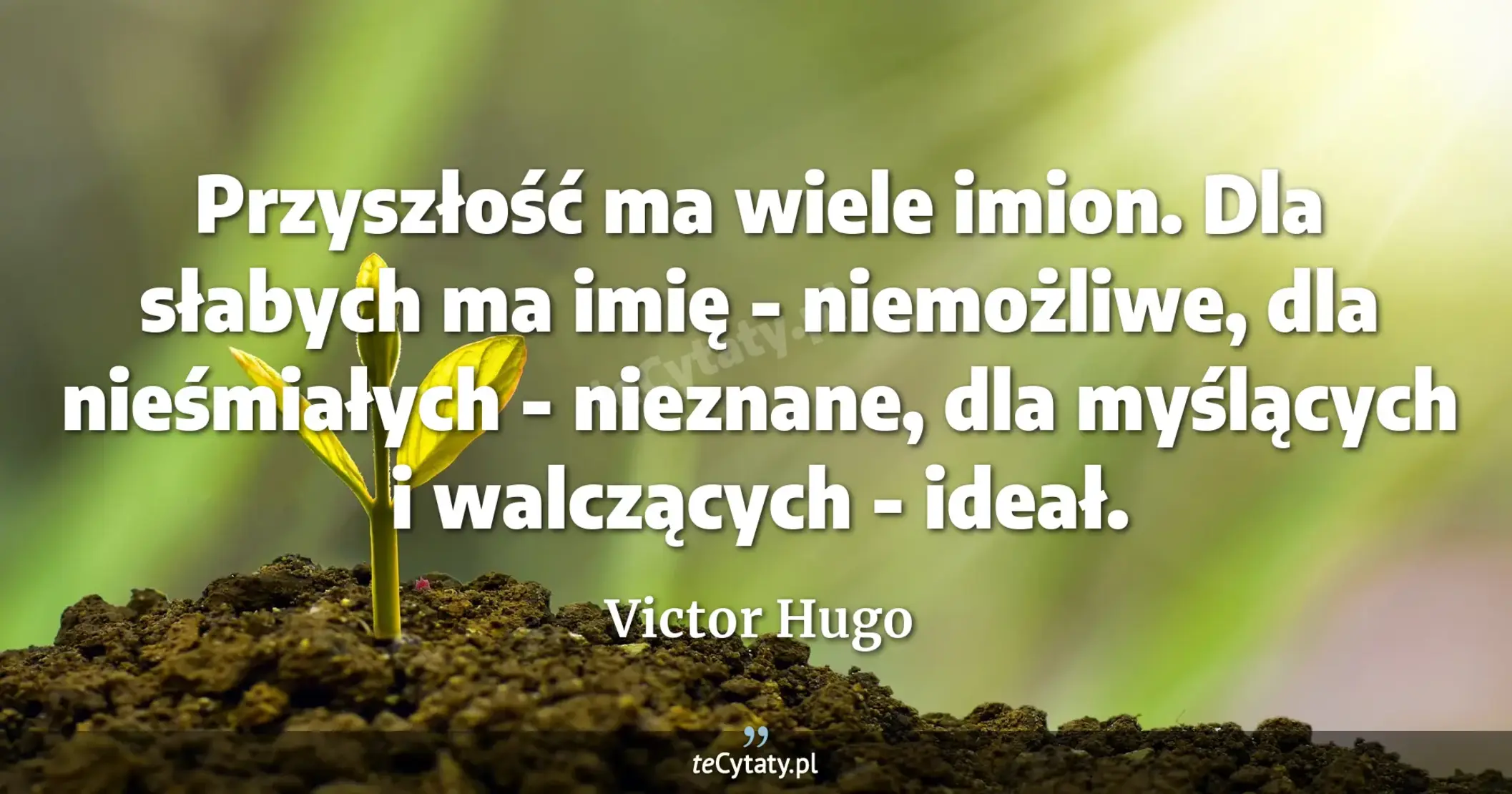 Przyszłość ma wiele imion. Dla słabych ma imię - niemożliwe, dla nieśmiałych - nieznane, dla myślących i walczących - ideał. - Victor Hugo