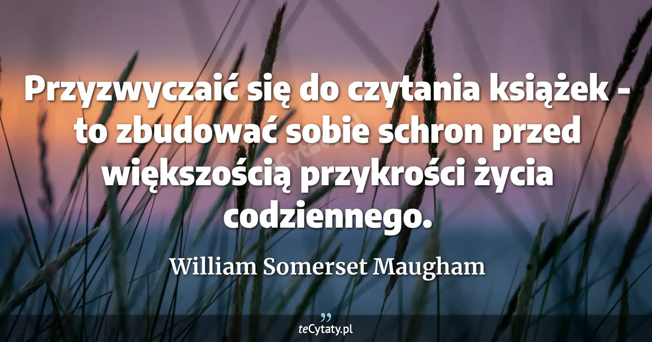 Przyzwyczaić się do czytania książek - to zbudować sobie schron przed większością przykrości życia codziennego. - William Somerset Maugham
