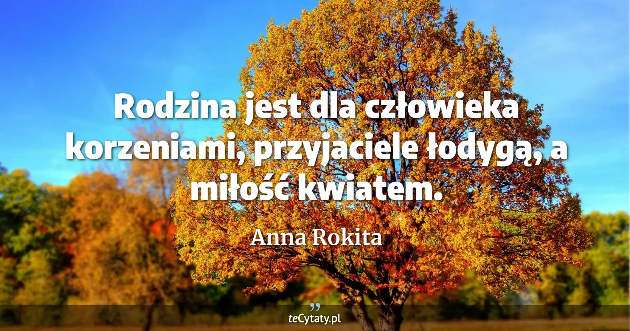 Rodzina jest dla człowieka korzeniami, przyjaciele łodygą, a miłość kwiatem. - Anna Rokita
