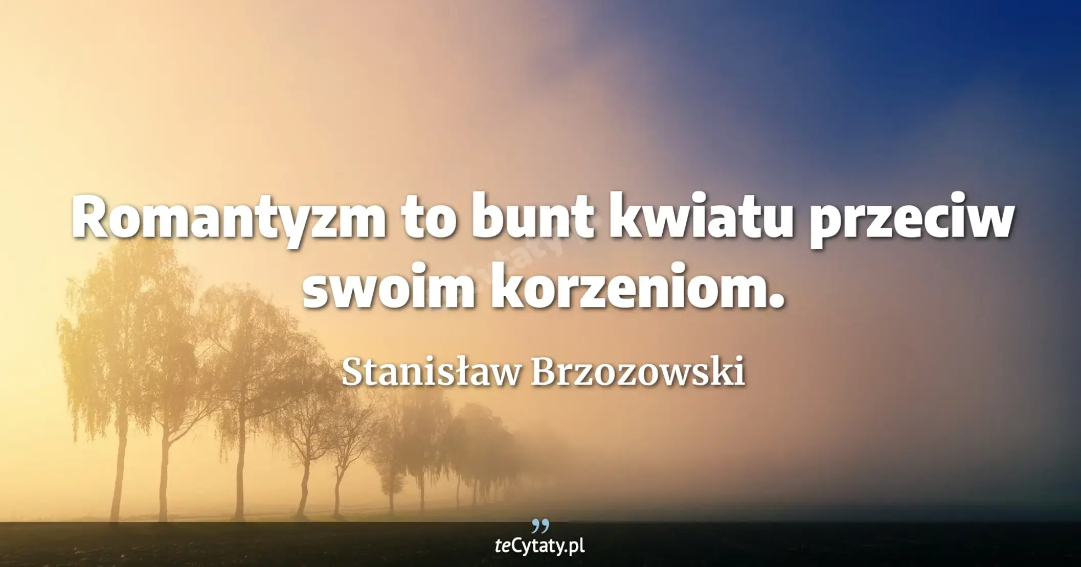 Romantyzm to bunt kwiatu przeciw swoim korzeniom. - Stanisław Brzozowski